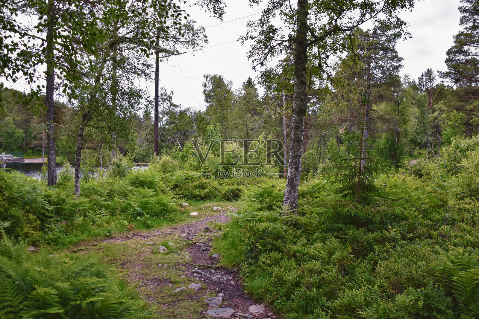 Varden观景点徒步小径的景色，挪威斯堪的纳维亚欧洲的莫尔德峡湾城市，四周被海洋岛屿和夏季的山林环绕，2024年。照片摄影图片