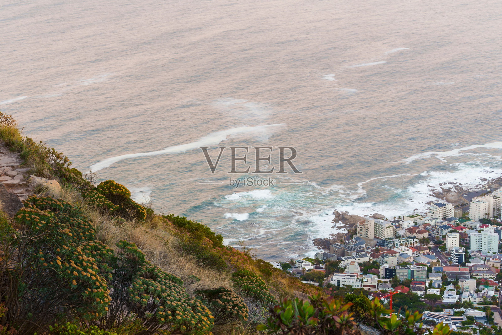 海滨城市的鸟瞰图，绿意盎然，海洋相伴。照片摄影图片