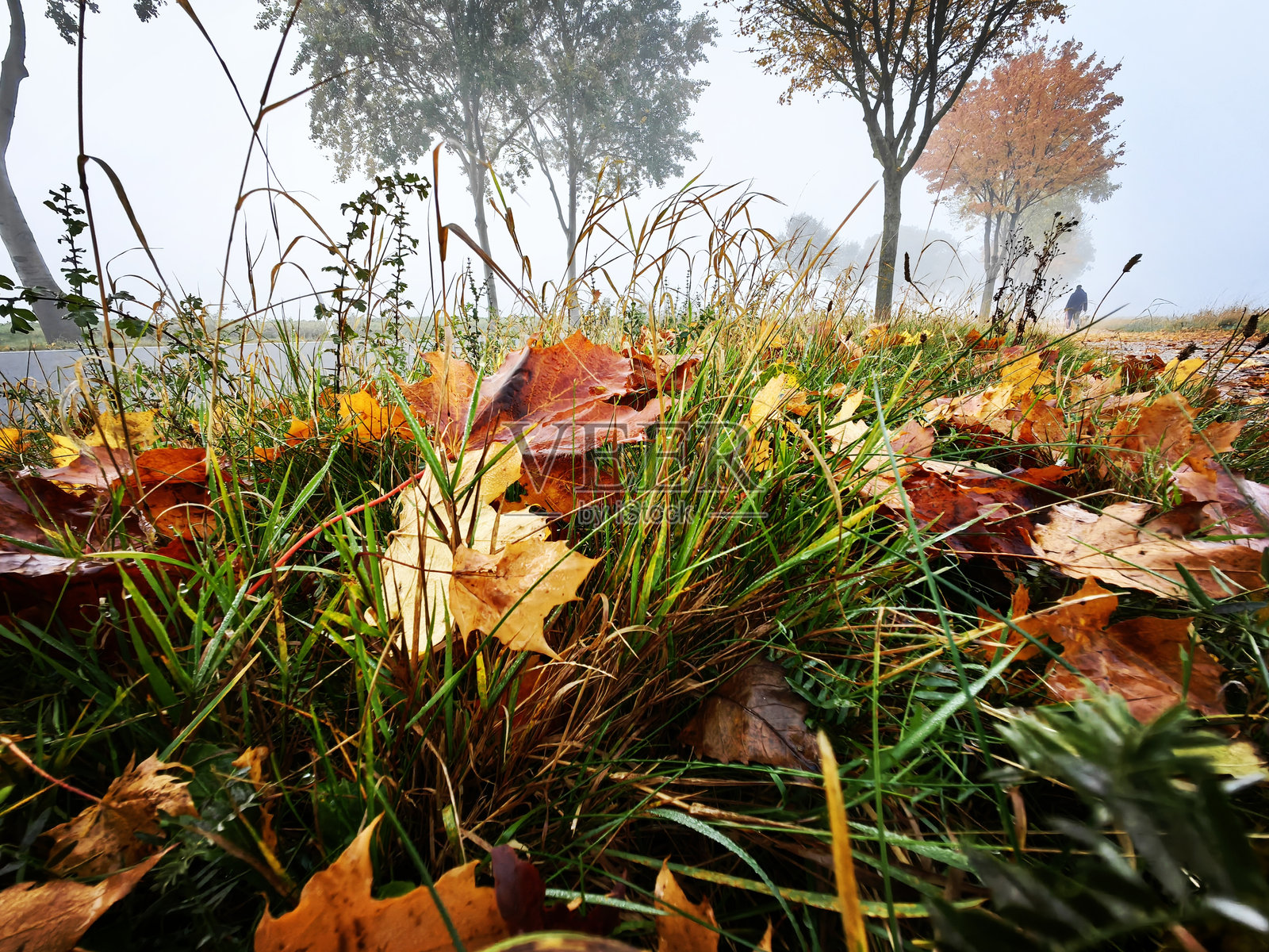 波罗的海海岸线展现出崎岖的悬崖、温柔的波浪和被风吹拂的草地，营造出一种宁静、原始的美感。照片摄影图片