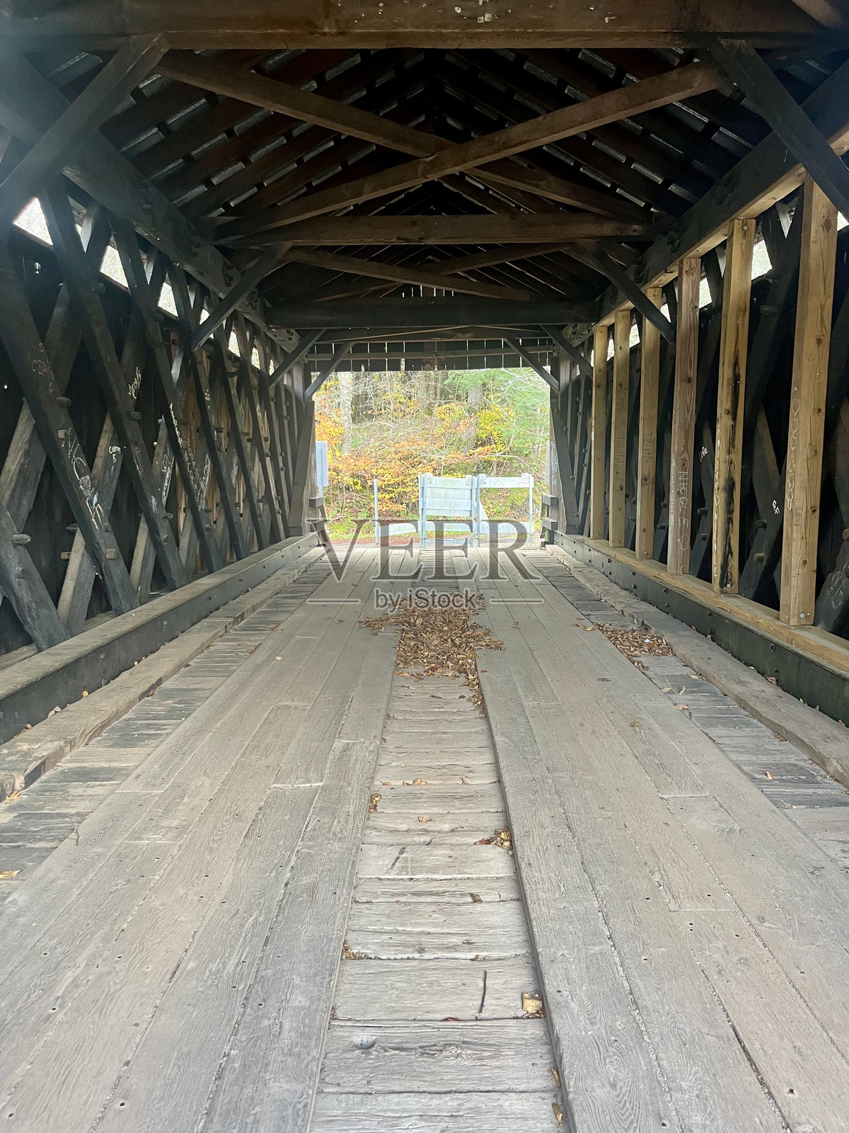 本多覆盖桥照片摄影图片