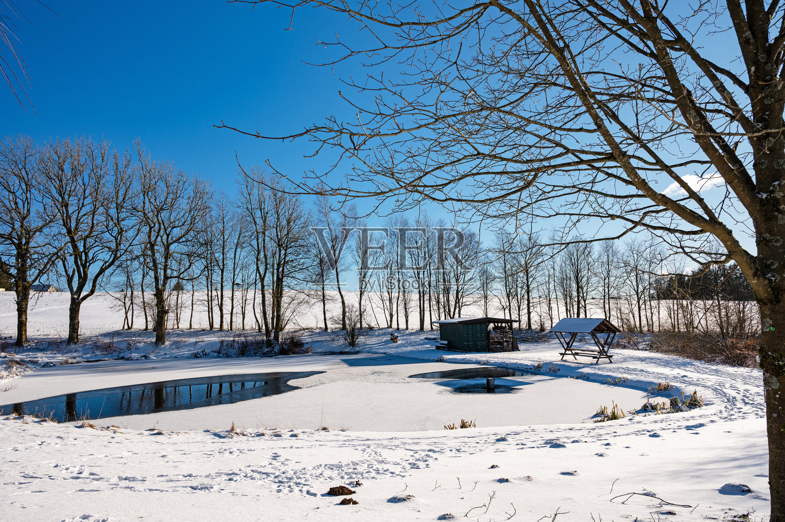 图林根州弗劳恩瓦尔德附近的冬季风景中的冰冻池塘照片摄影图片