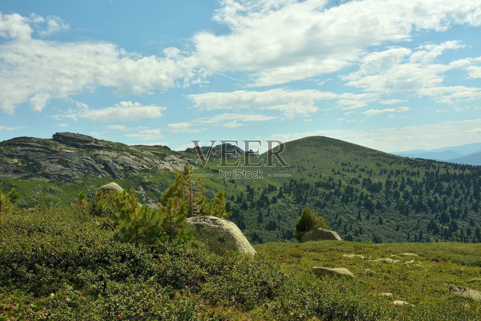 一个平坦的岩石空地，长满低矮的灌木，四周被高山环绕，俯瞰着一个风景如画的山谷，阳光明媚的夏日。照片摄影图片