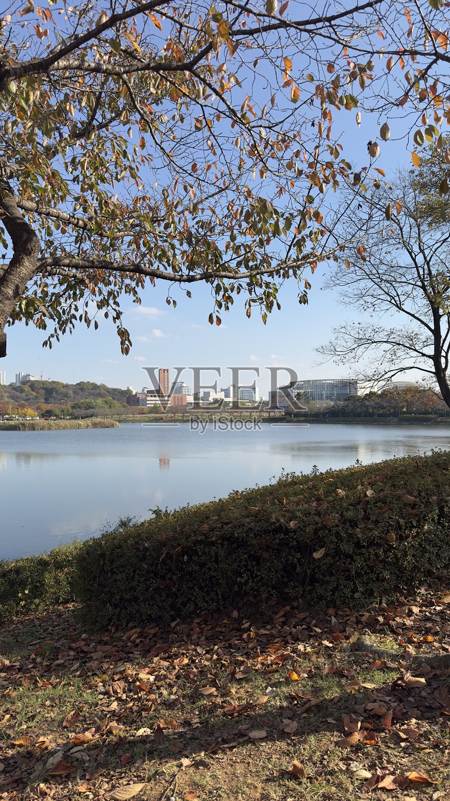 秋天的湖泊照片摄影图片