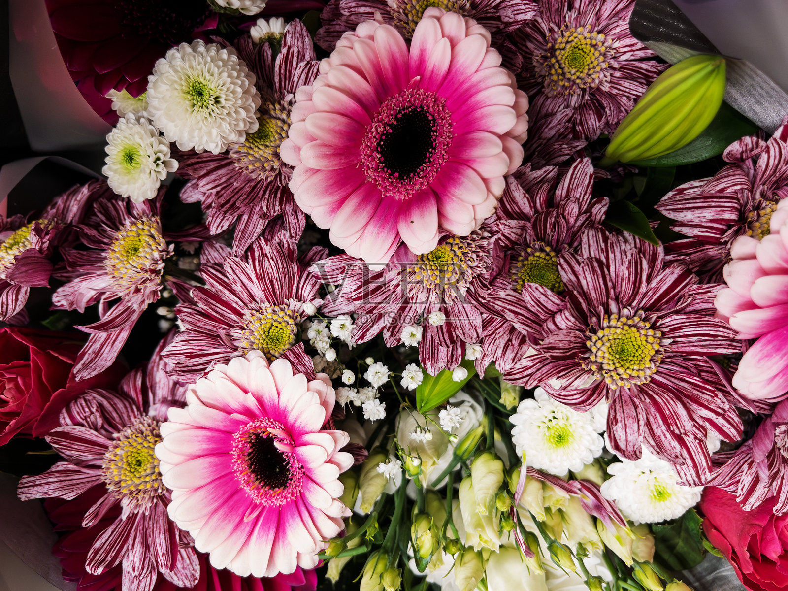 鲜艳的粉白色花卉混合花束照片摄影图片