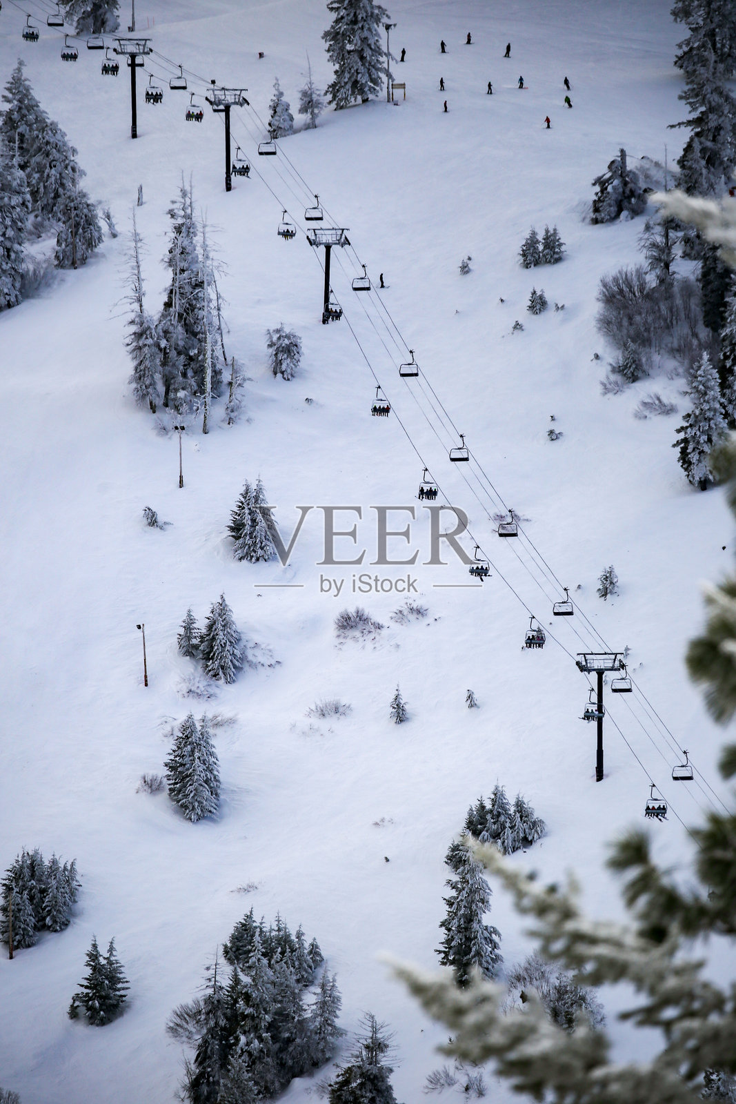 在博古斯盆地滑雪，那里是美国最大的非营利滑雪胜地。照片摄影图片