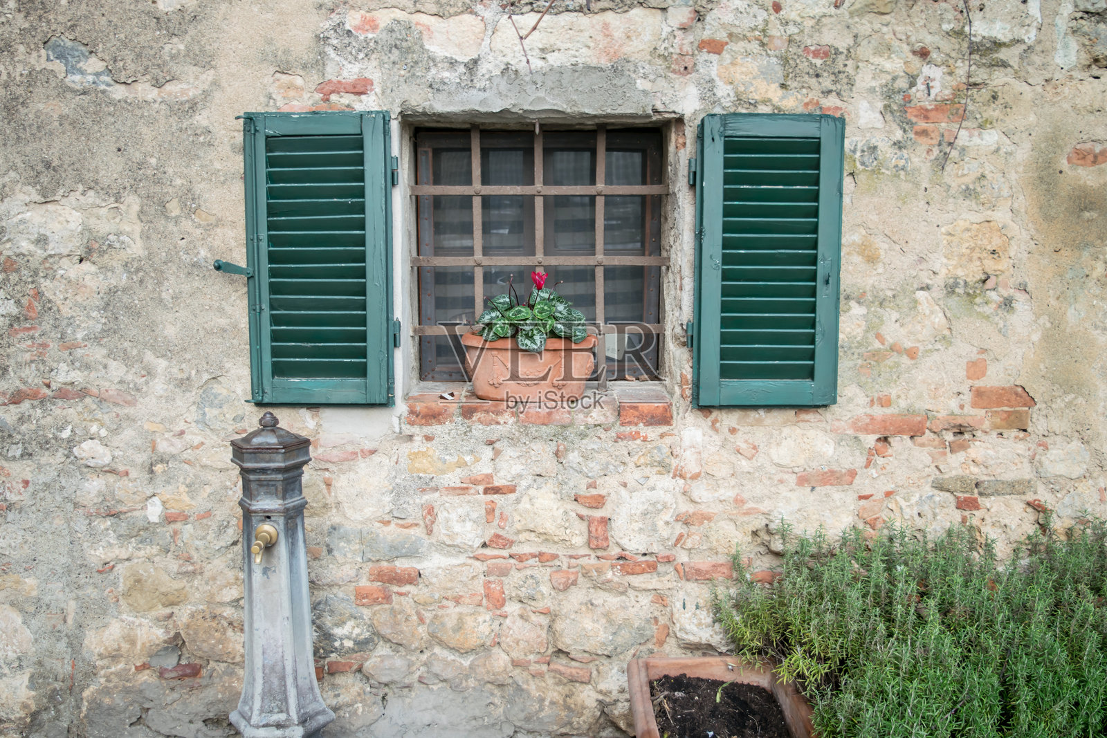建筑旁的盆栽植物照片摄影图片