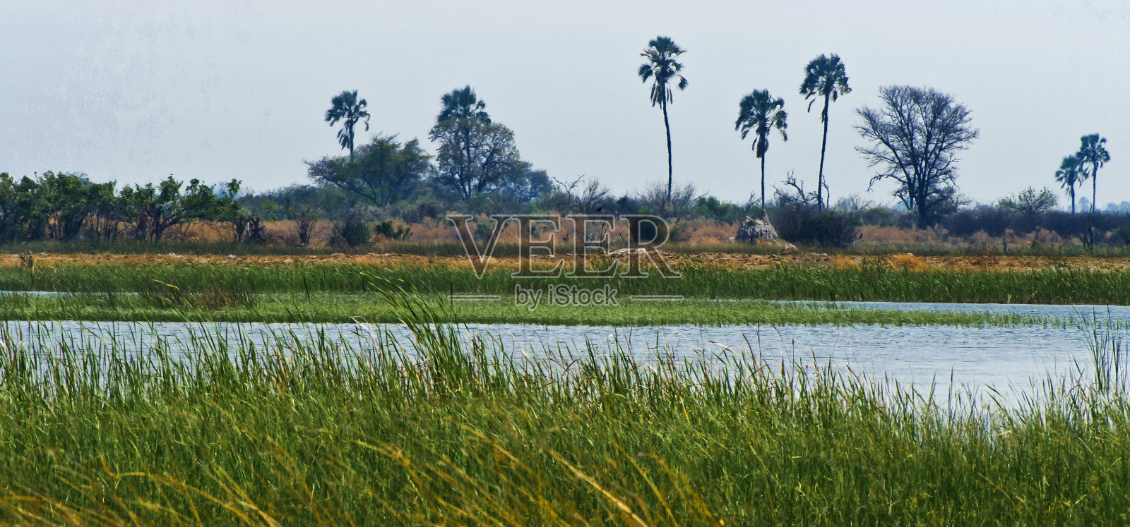 奥卡万戈三角洲，奥卡万戈湿地，联合国教科文组织世界遗产，博茨瓦纳，非洲照片摄影图片
