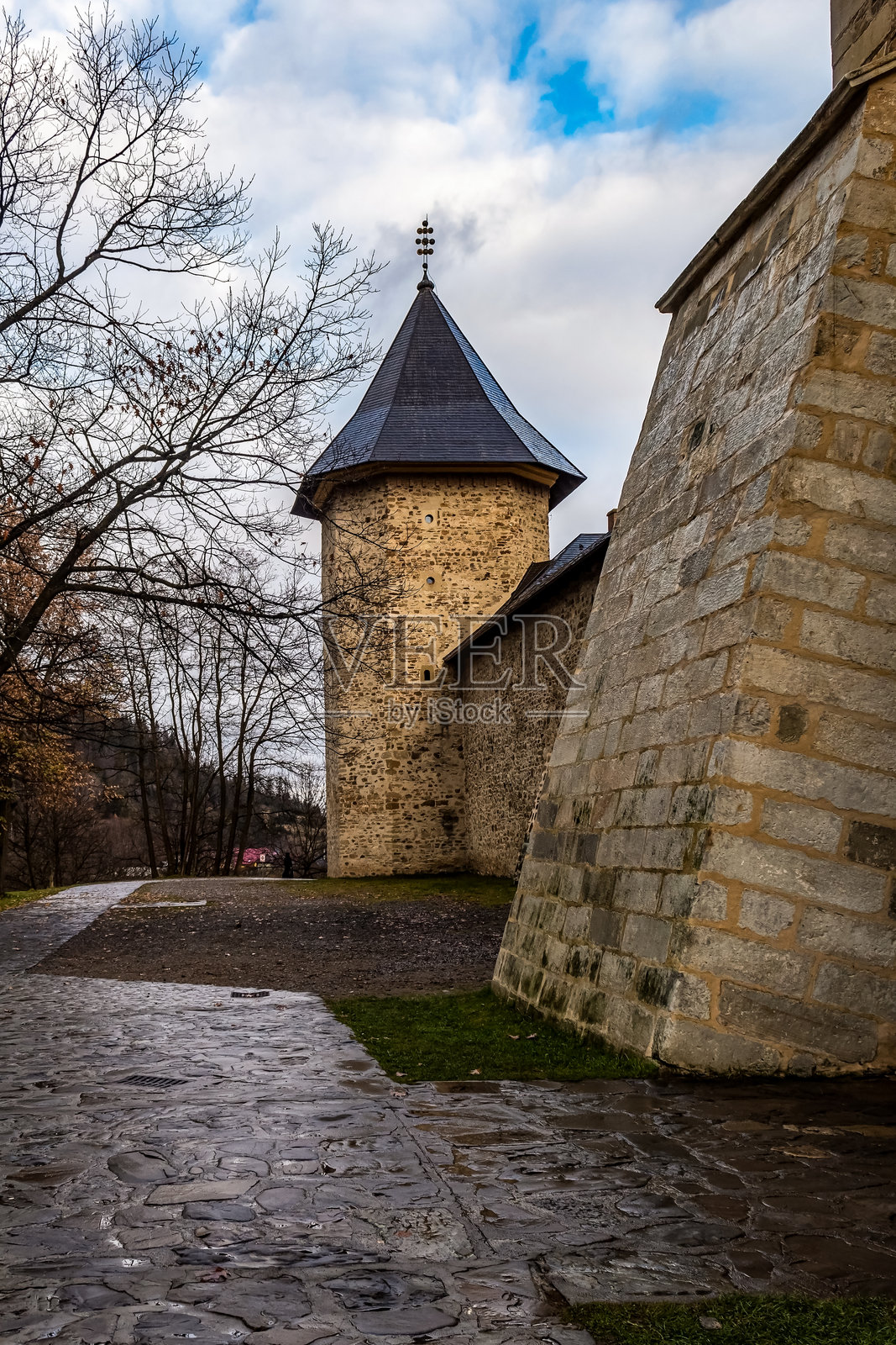 风景 - 森林 - 欧洲，罗马尼亚，苏恰瓦地区照片摄影图片