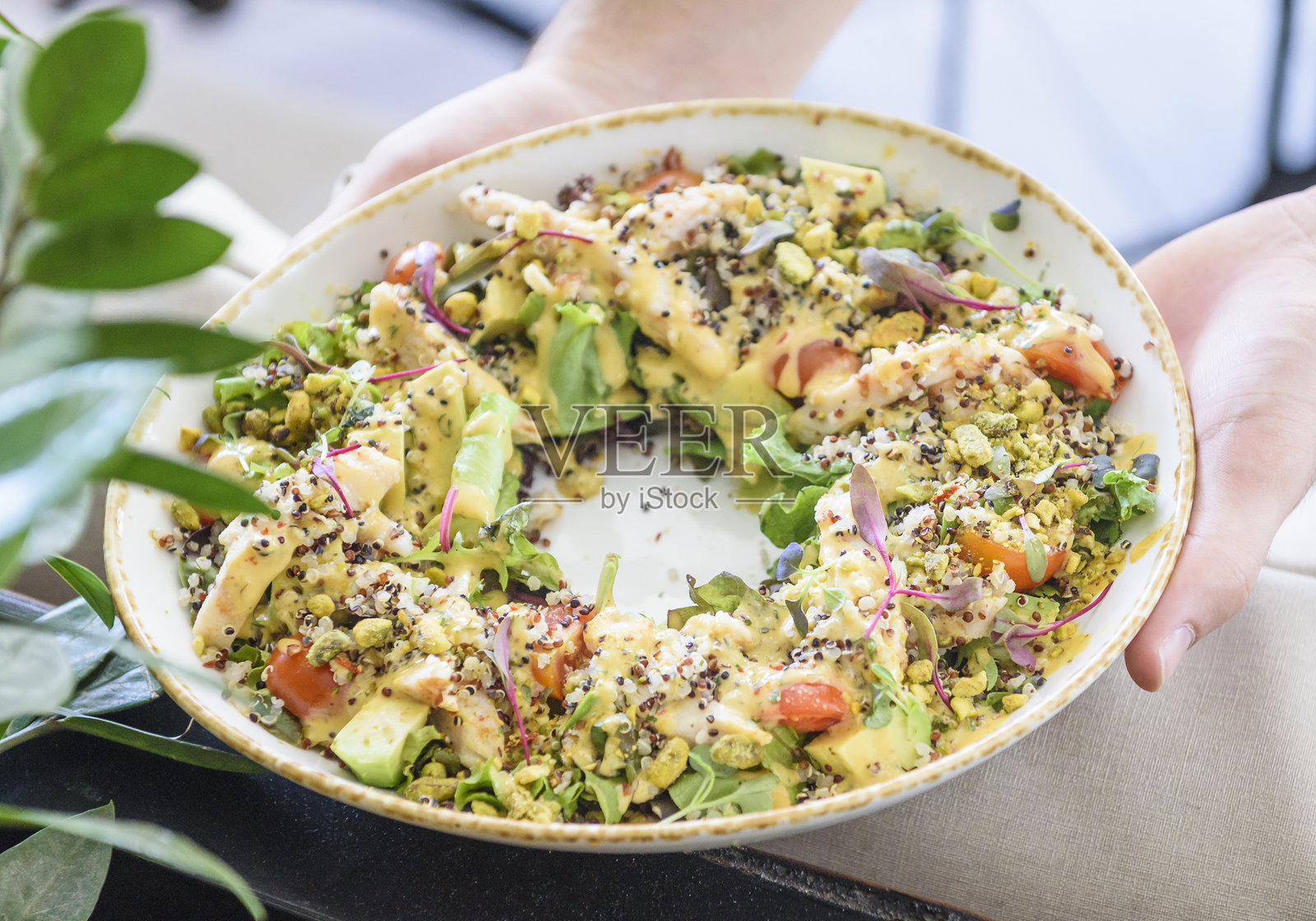 新鲜上桌的沙拉照片摄影图片