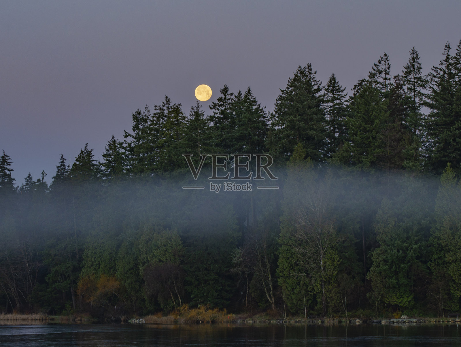 满月与雾气照片摄影图片
