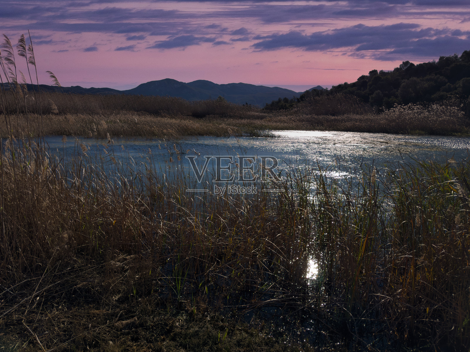 湿地、徒步旅行区、水稻田和佩戈自然公园。位于白色海岸，靠近德尼亚、奥利瓦和佩戈。照片摄影图片