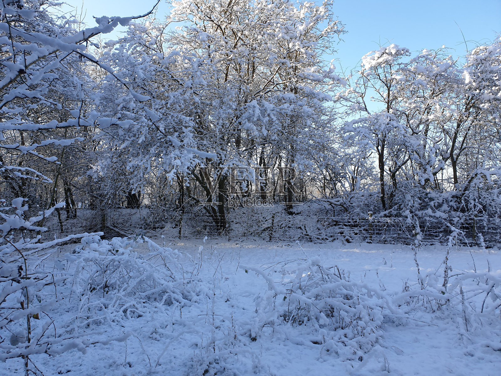 乡村的冬季仙境。照片摄影图片
