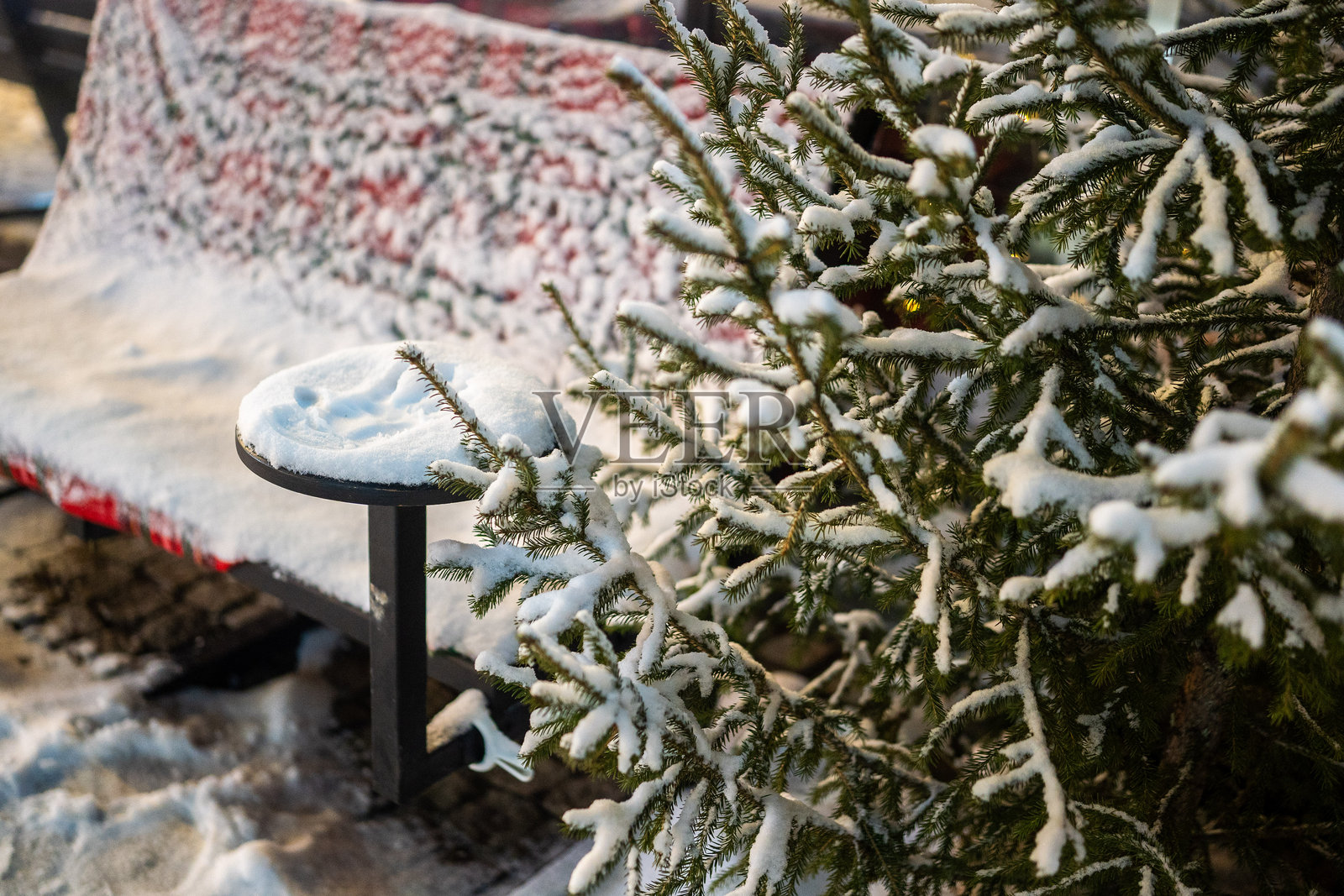 一个休息的地方，长椅上覆盖着雪和冷杉树照片摄影图片