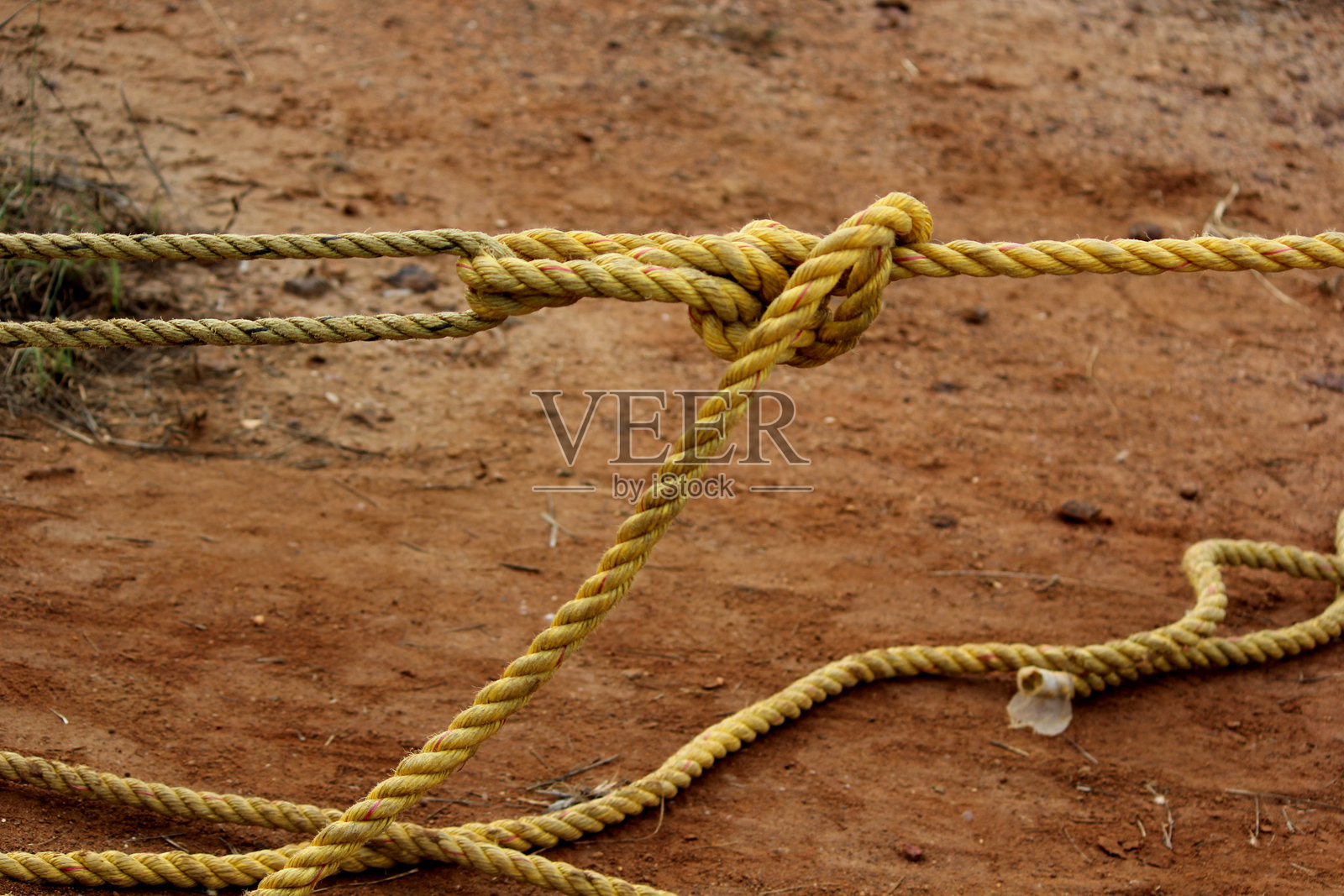 田野中扭曲绳索的特写镜头照片摄影图片