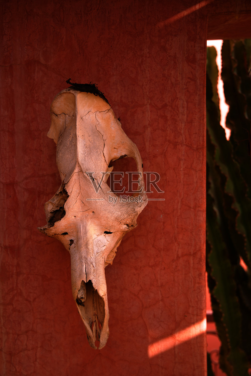 马拉喀什的里亚德照片摄影图片