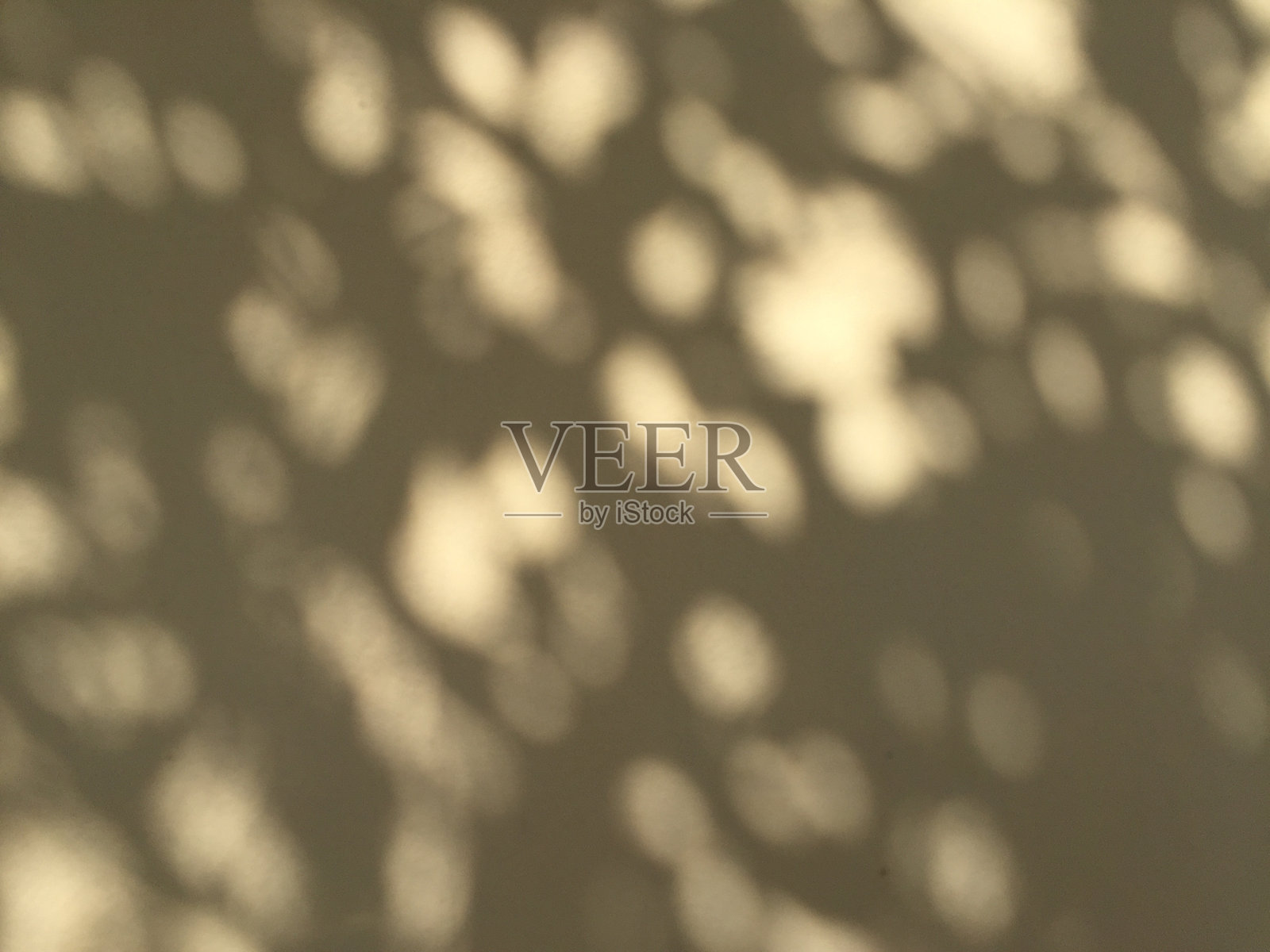 树叶在混凝土墙面上的阴影背景，树枝的叶子在阳光下投下的阴影照片摄影图片