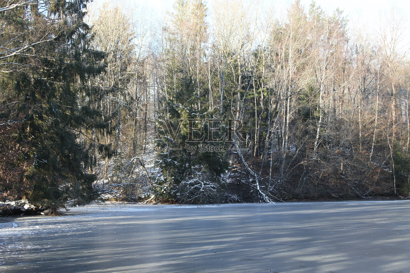洪斯吕克-霍赫瓦尔德国家公园照片摄影图片