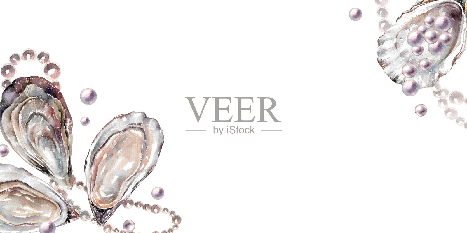 带壳的海牡蛎和珍珠。手绘水彩海鲜插图，背景为白色。插画图片素材