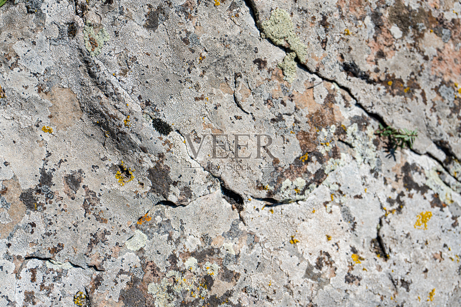 野外自然中的纹理岩石背景照片摄影图片