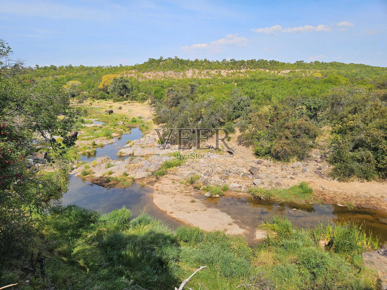 克鲁格国家公园 - 非洲灌木丛 - 恩哈兰尼尼河照片摄影图片