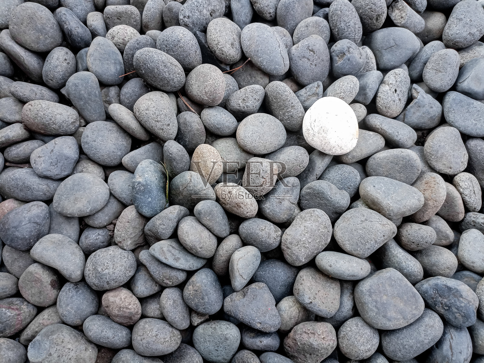 海滩上的海卵石特写。卵石背景适用于出版物、海报、日历、帖子、屏保、壁纸、明信片、横幅、封面和网站。高质量摄影。照片摄影图片
