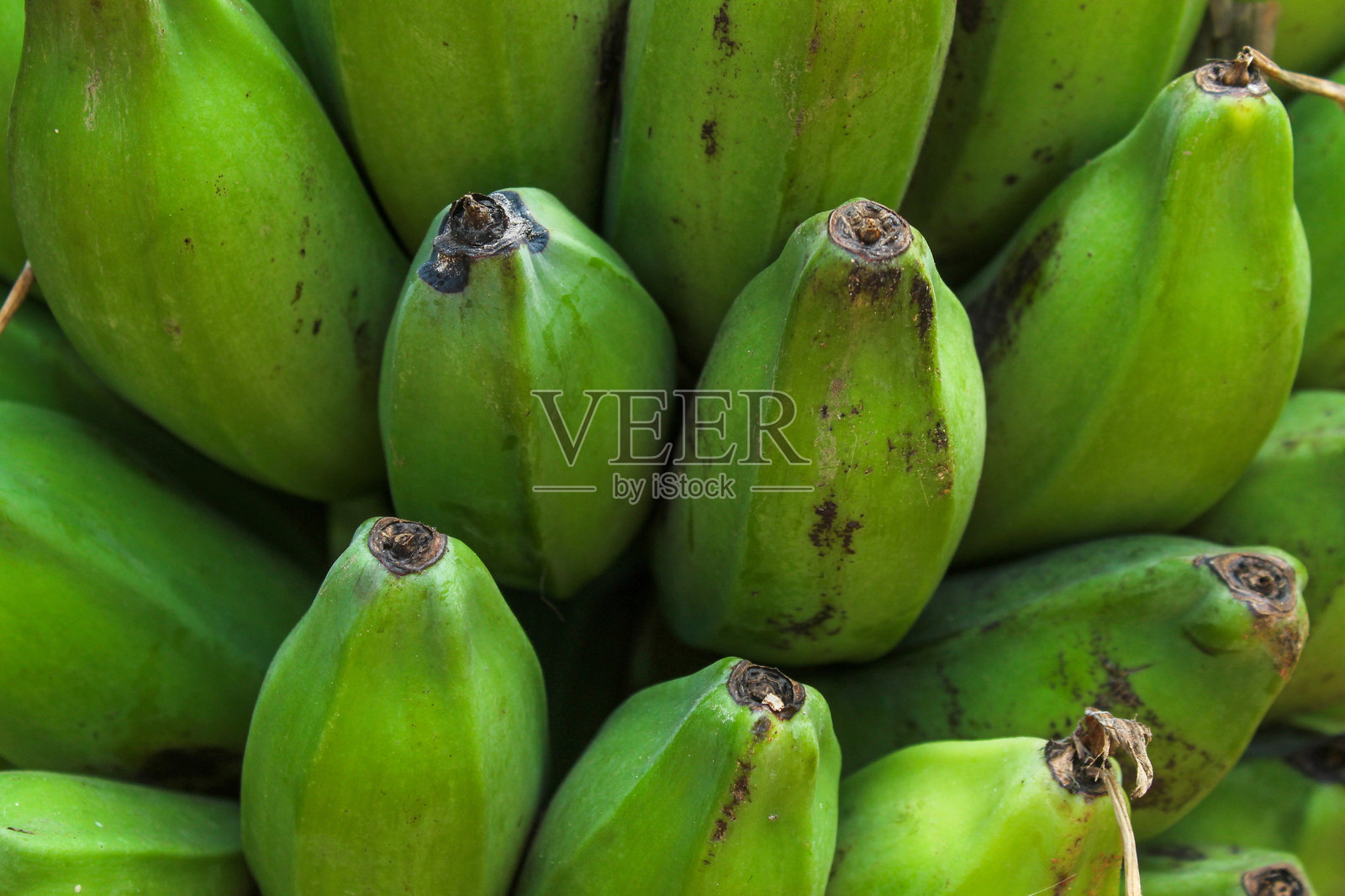 新鲜热带香蕉果实的纹理和背景特写。绿色香蕉。照片摄影图片