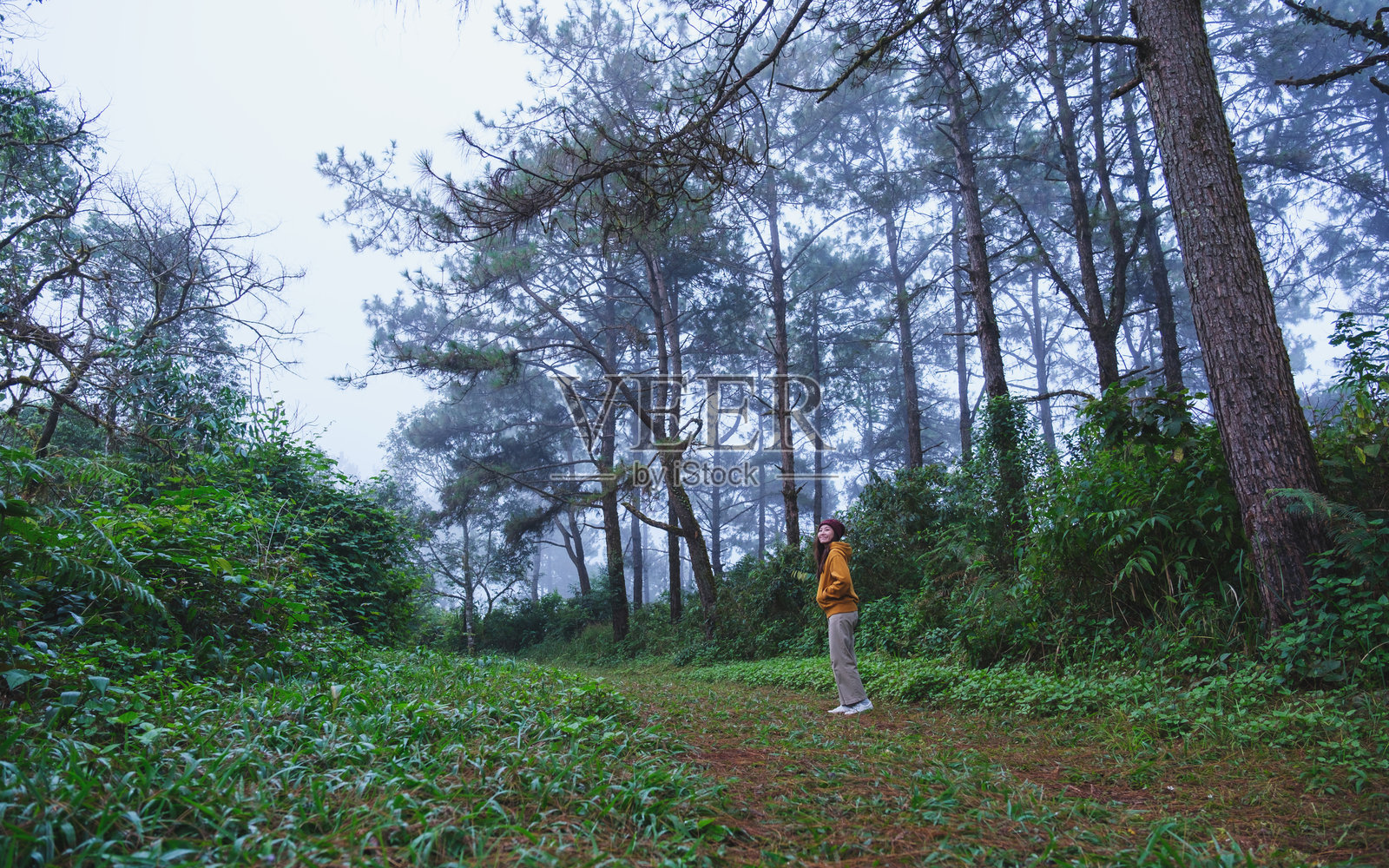一位女性在森林中行走和旅行的肖像图照片摄影图片