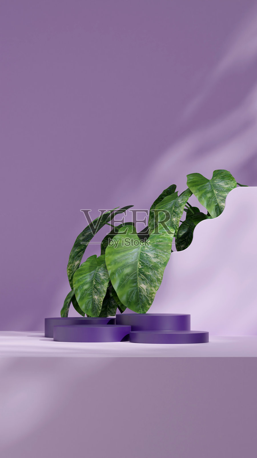 3D渲染图像：空白紫色曲面圆柱展台，背景为波浪形墙面。照片摄影图片