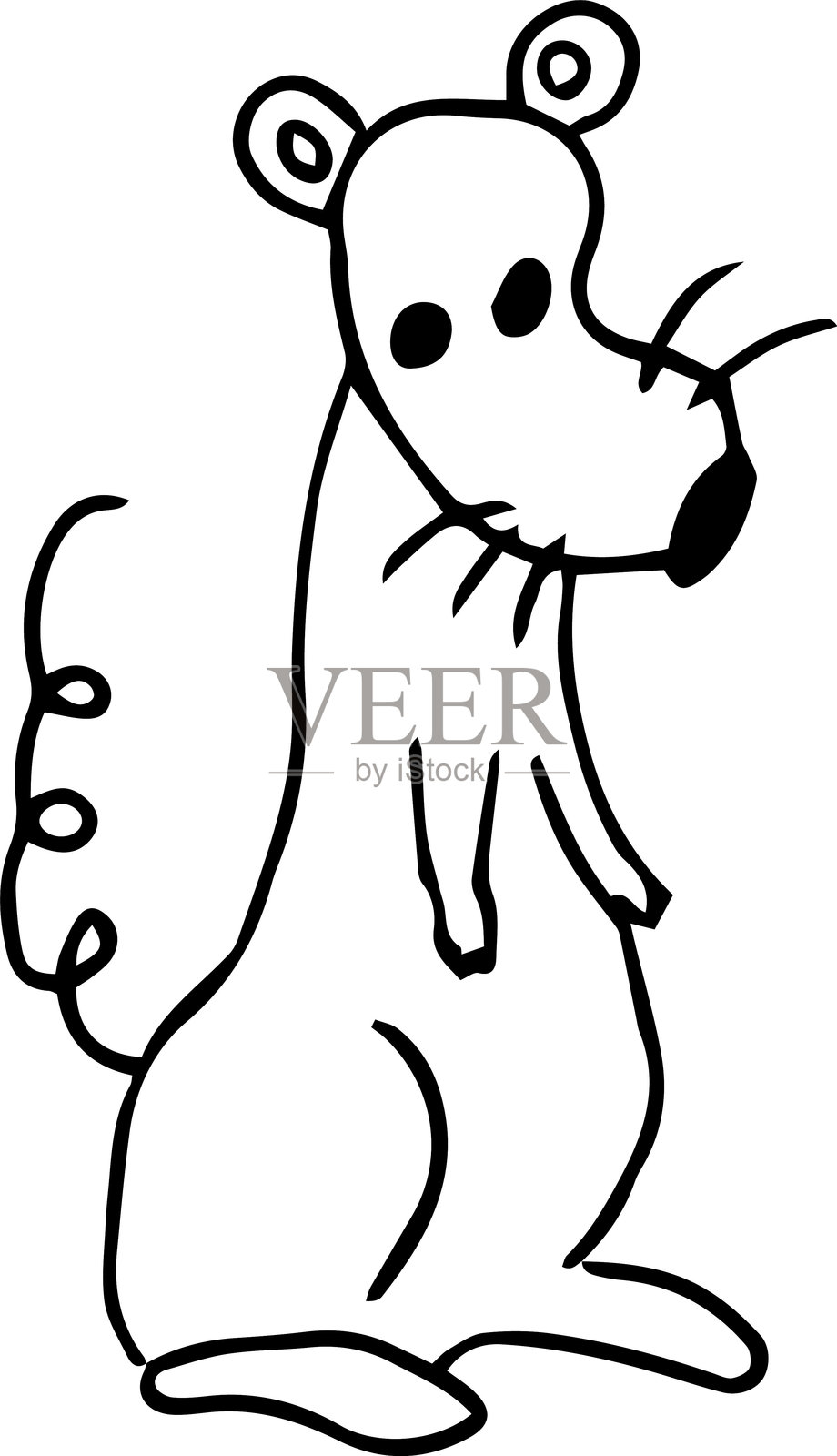 一只卷尾的老鼠坐在后腿上，朝着镜头看。插画图片素材