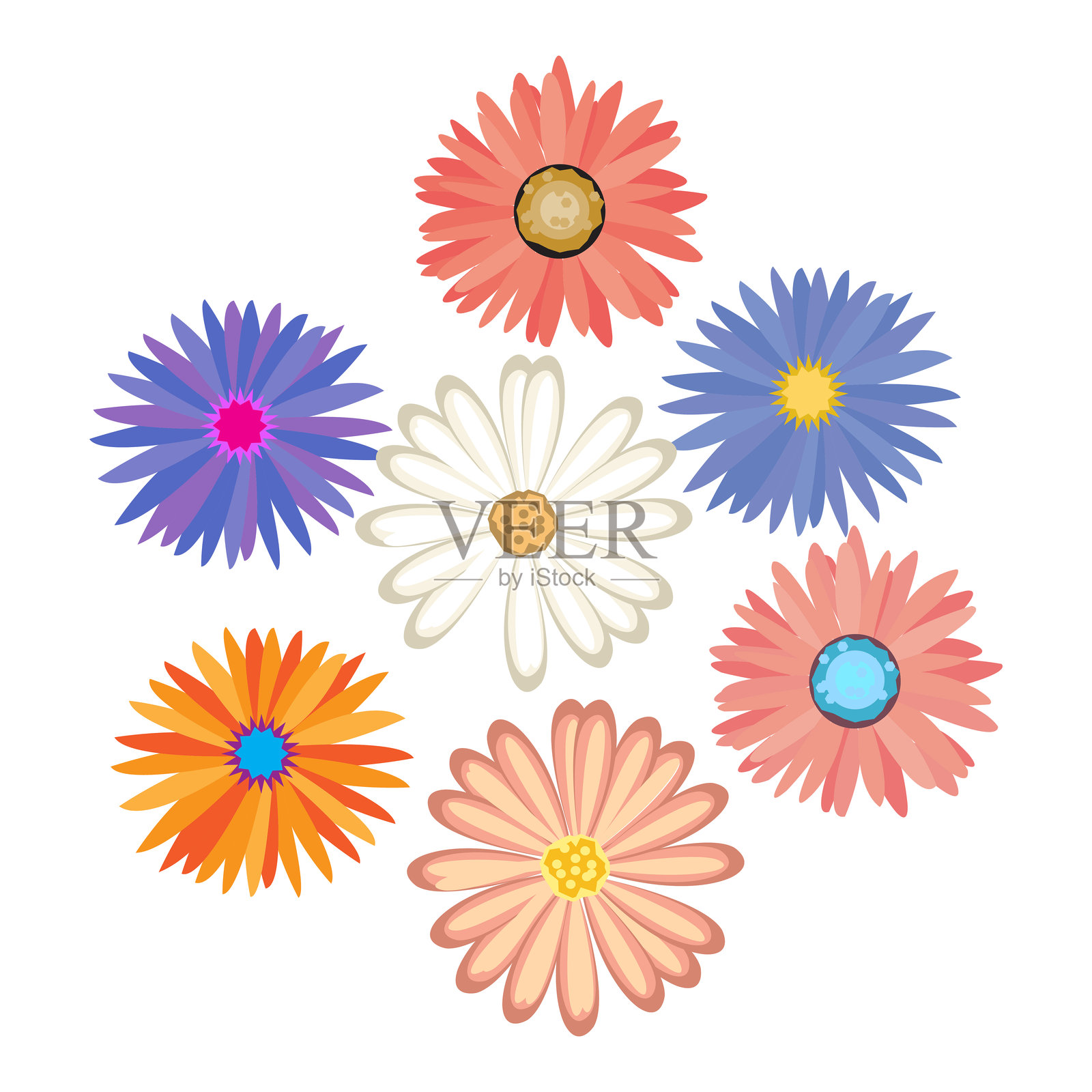 多彩花卉组合。雏菊和洋甘菊。装饰性花卉元素。矢量插图。插画图片素材