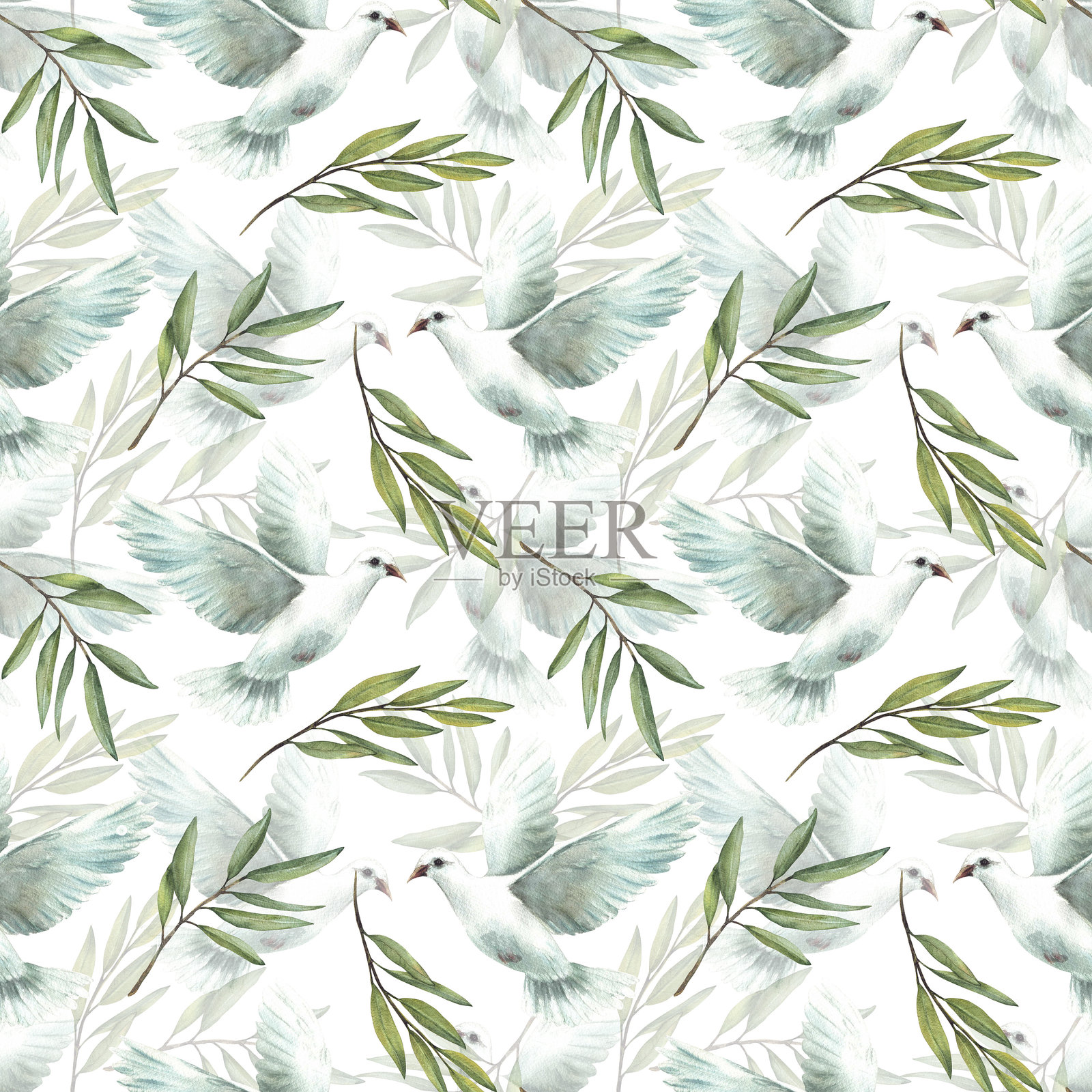 鸽子与橄榄绿枝的无缝图案 水彩白色飞鸽手绘插图插画图片素材