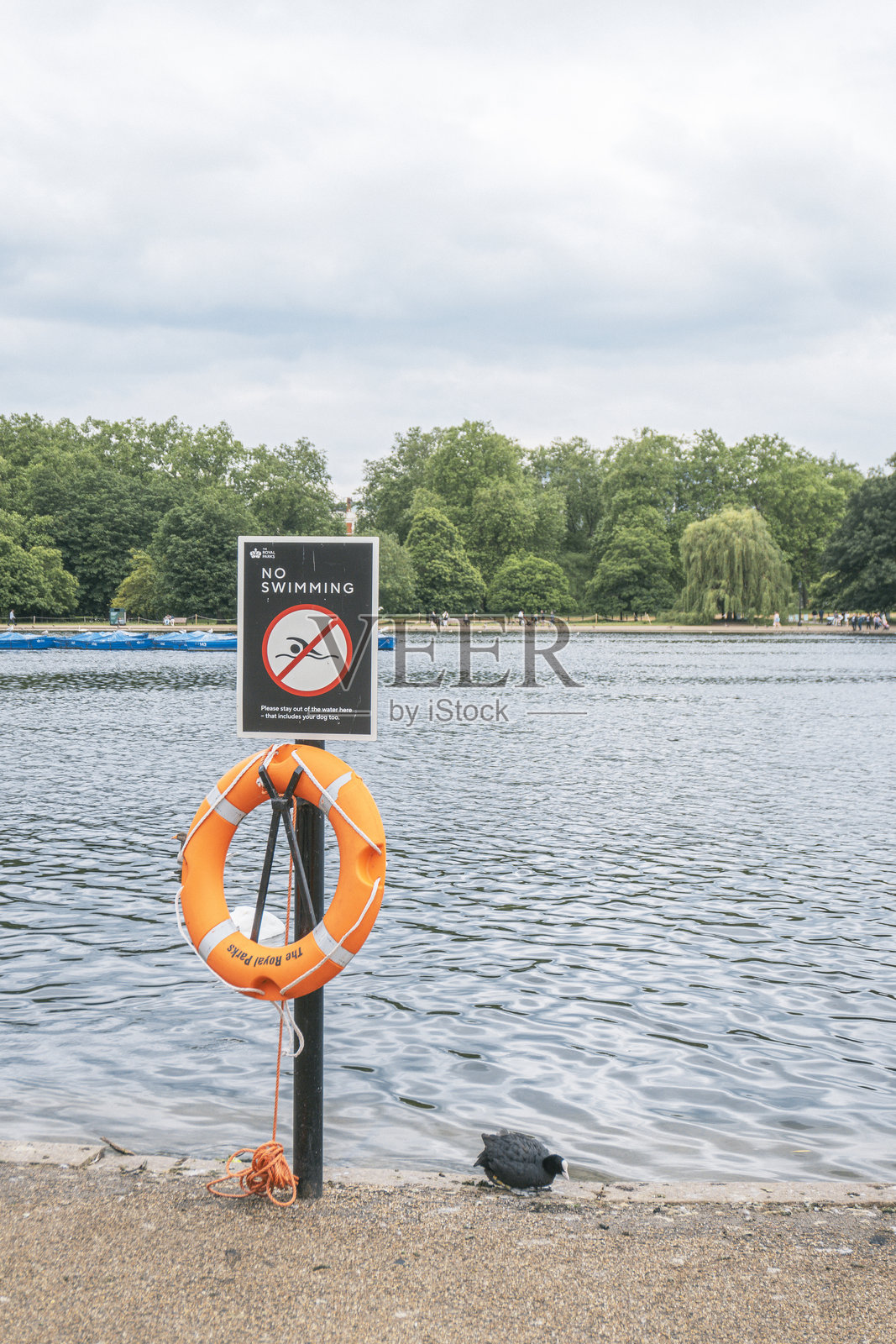 英国伦敦 - 2024年6月7日,海德公园,平静公园湖边的禁止游泳标志照片摄影图片