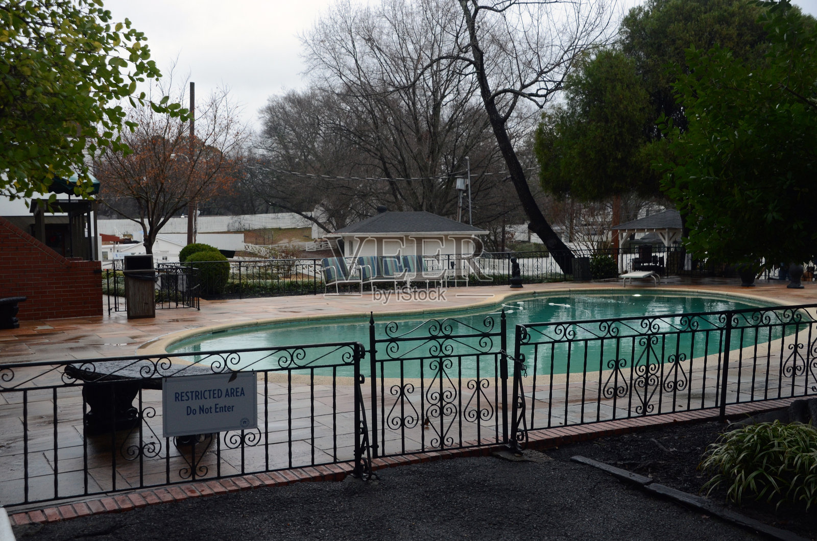 埃尔维斯·普雷斯利在孟菲斯家中的游泳池。照片摄影图片