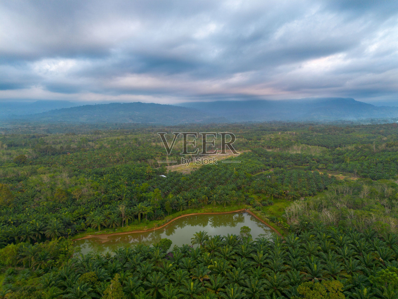 美丽的早晨景色，印度尼西亚全景，稻田与美丽的色彩和自然光的天空照片摄影图片