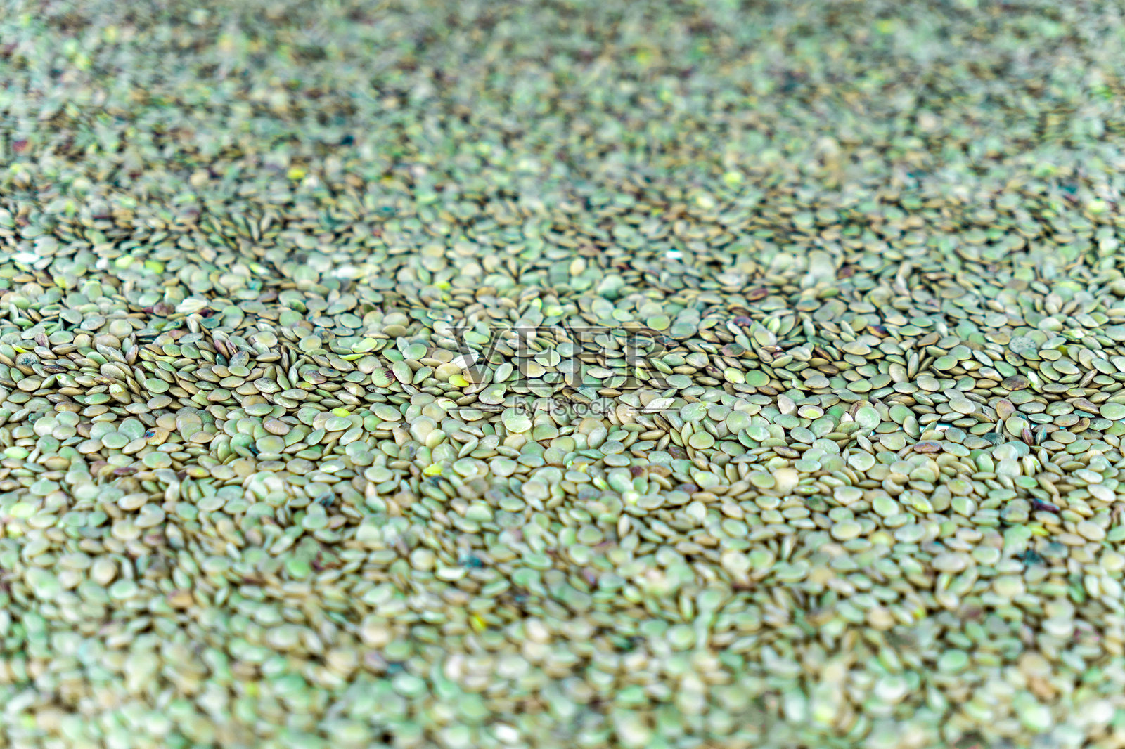 传统家用绿色扁豆背景，平面布局。照片摄影图片