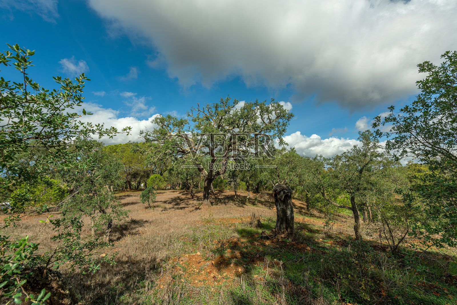 葡萄牙阿连特茹美丽的丘陵风景照片摄影图片
