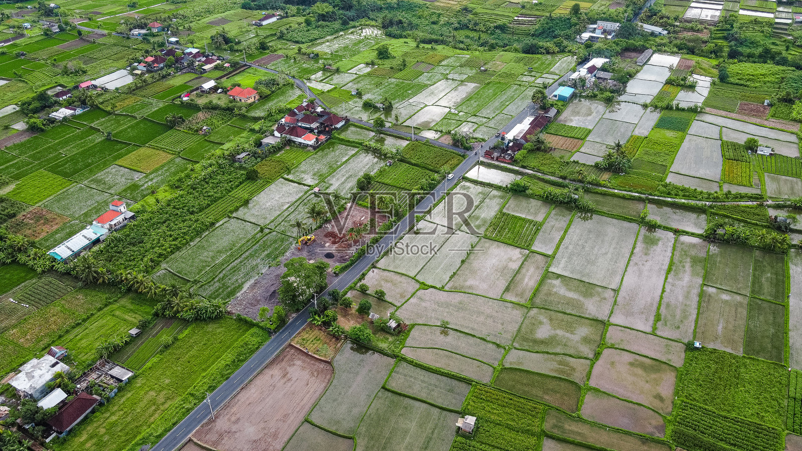 乌布稻田的全景照片摄影图片