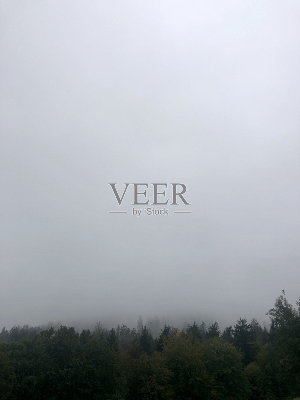 一群树木在波兰下西里西亚的山脉背景下。照片摄影图片