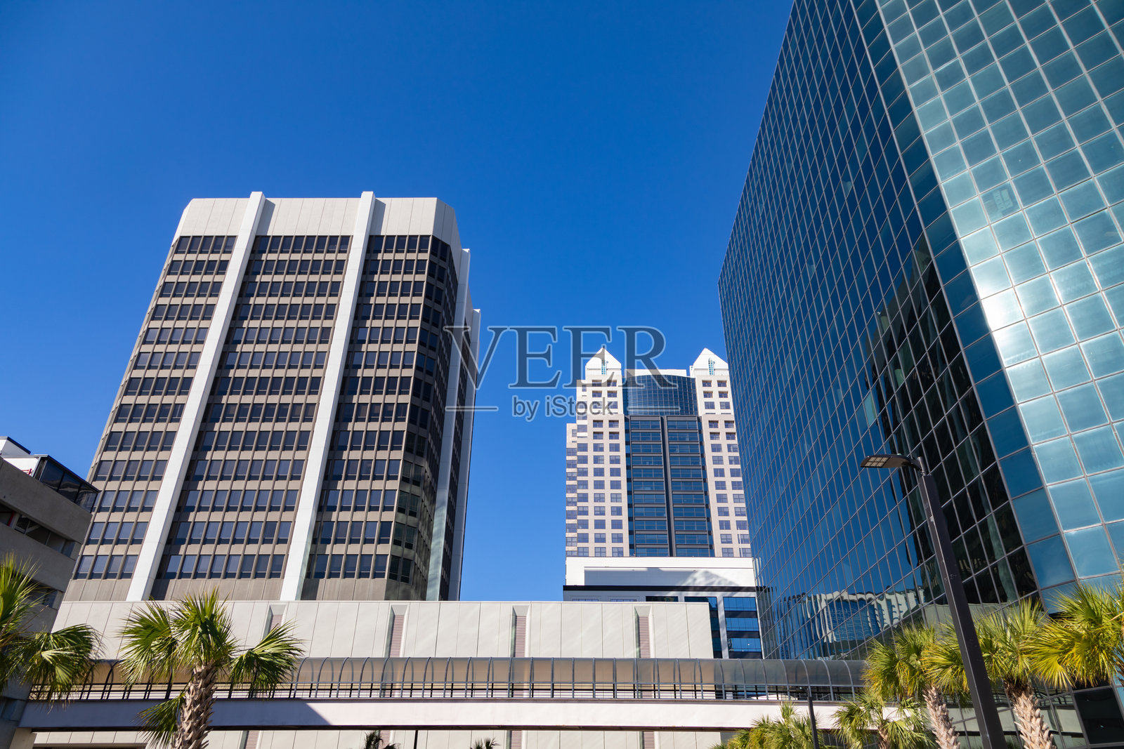 奥兰多市中心的摩天大楼和空中步道照片摄影图片