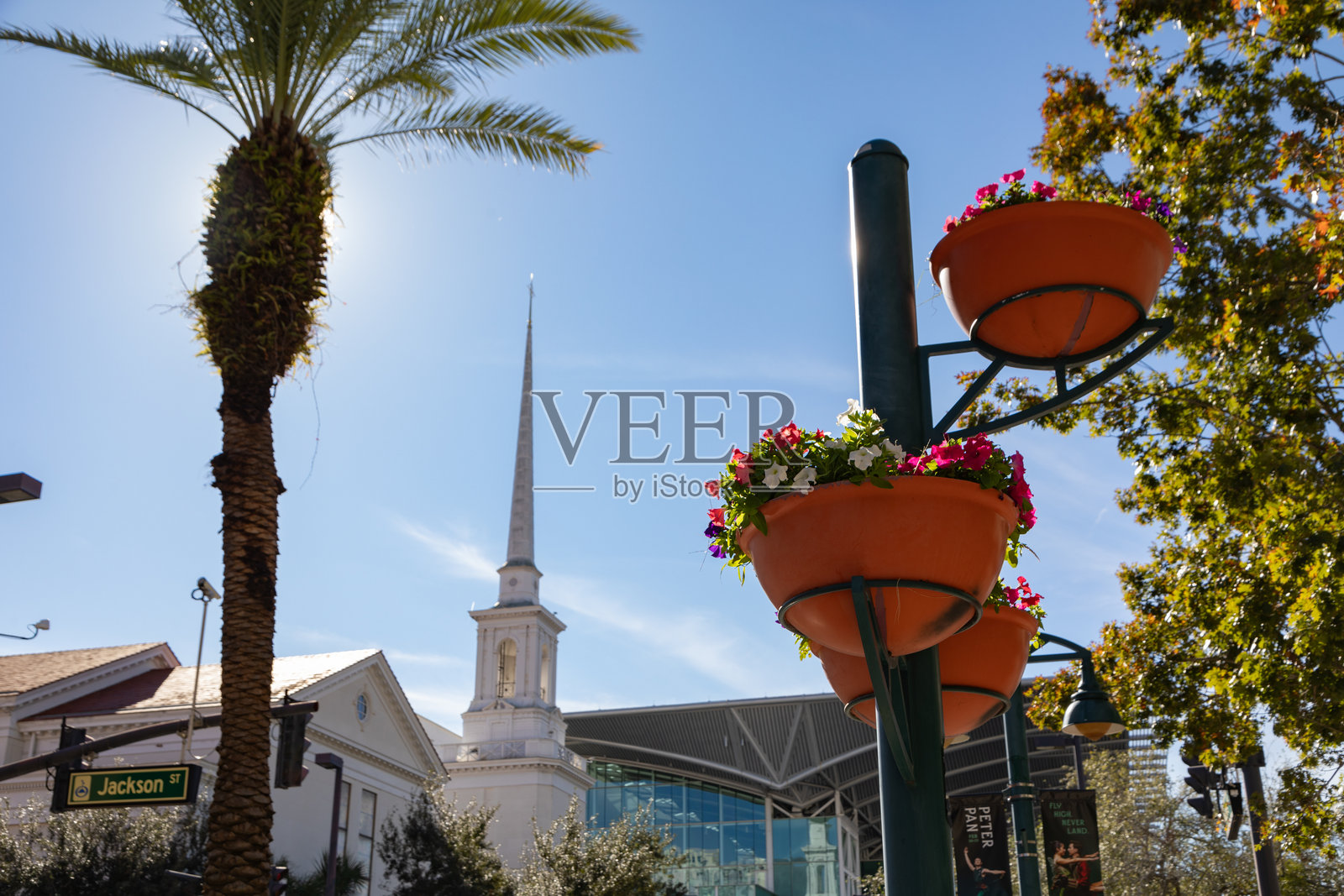 佛罗里达州奥兰多市中心的花卉、棕榈树和历史悠久的教堂照片摄影图片