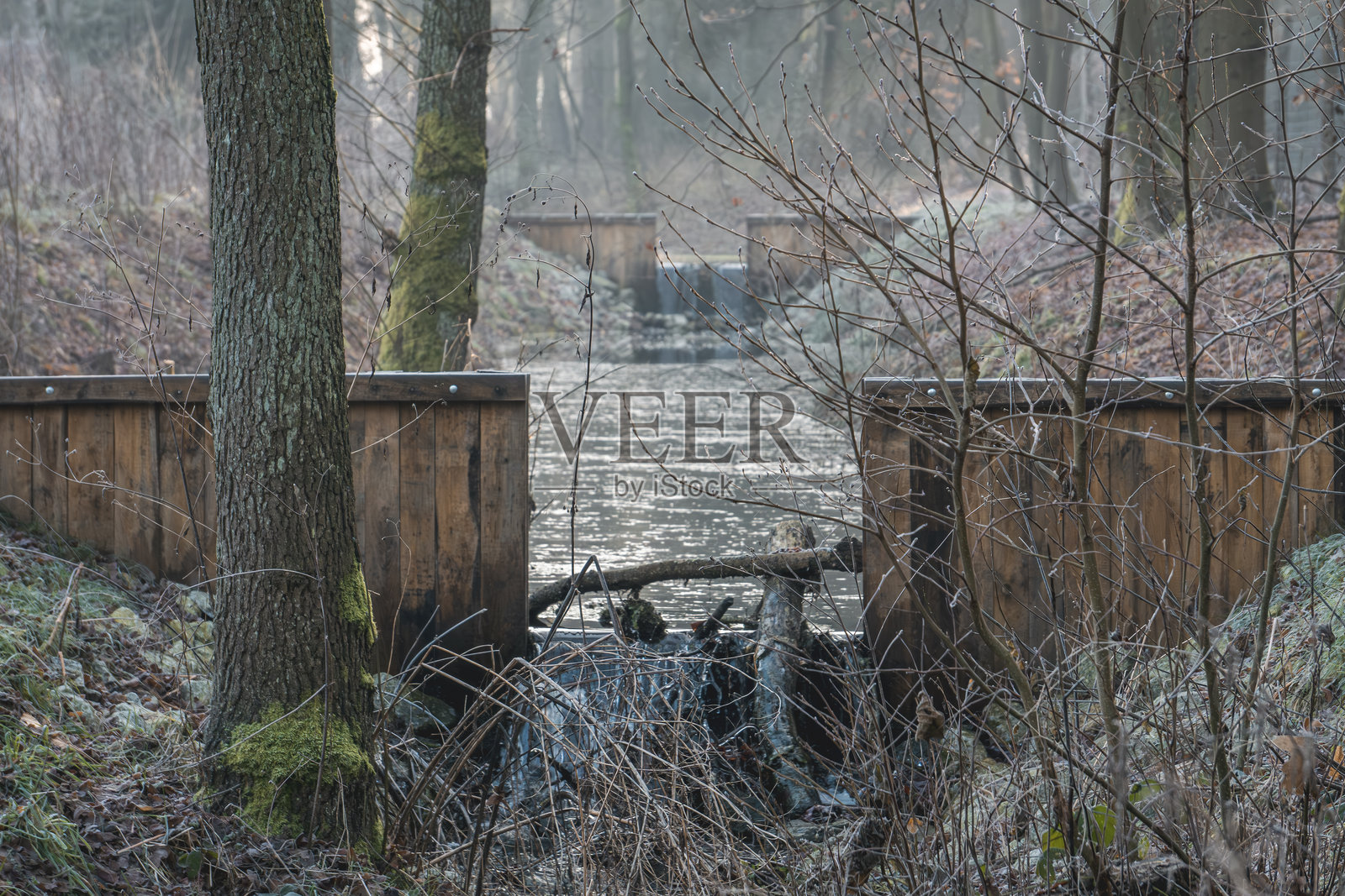 冬晨森林中的小水坝与河流照片摄影图片