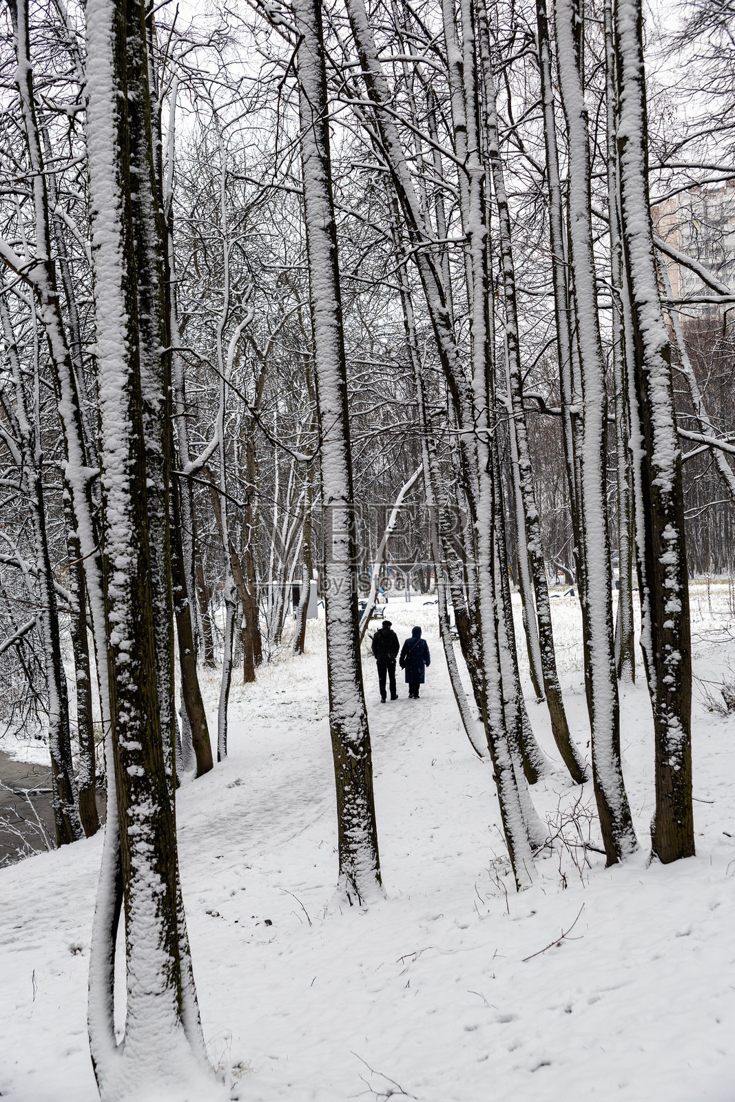 一对老年夫妇在雪中漫步于公园。照片摄影图片