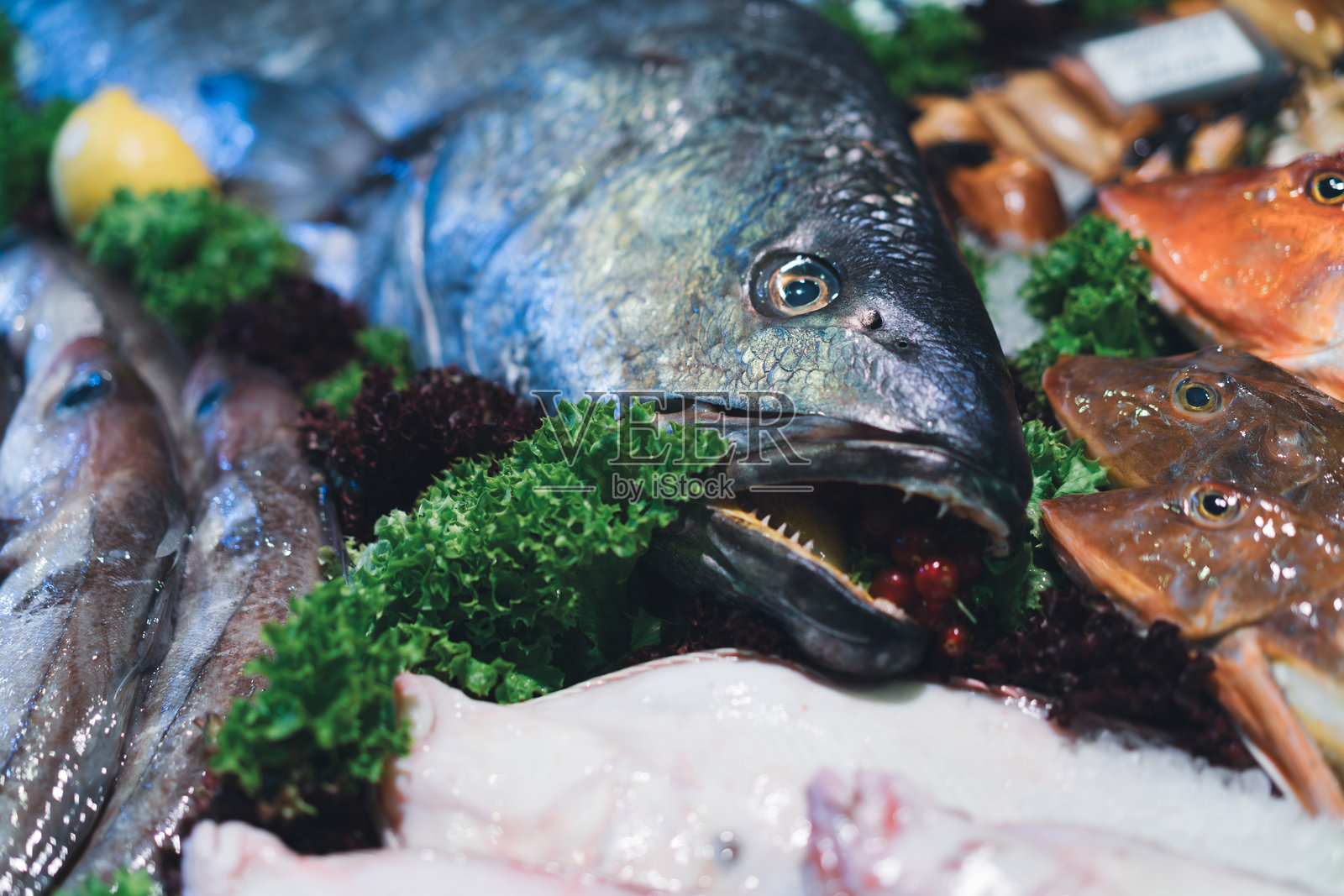 市场上展示的大鱼与绿叶蔬菜和海鲜照片摄影图片