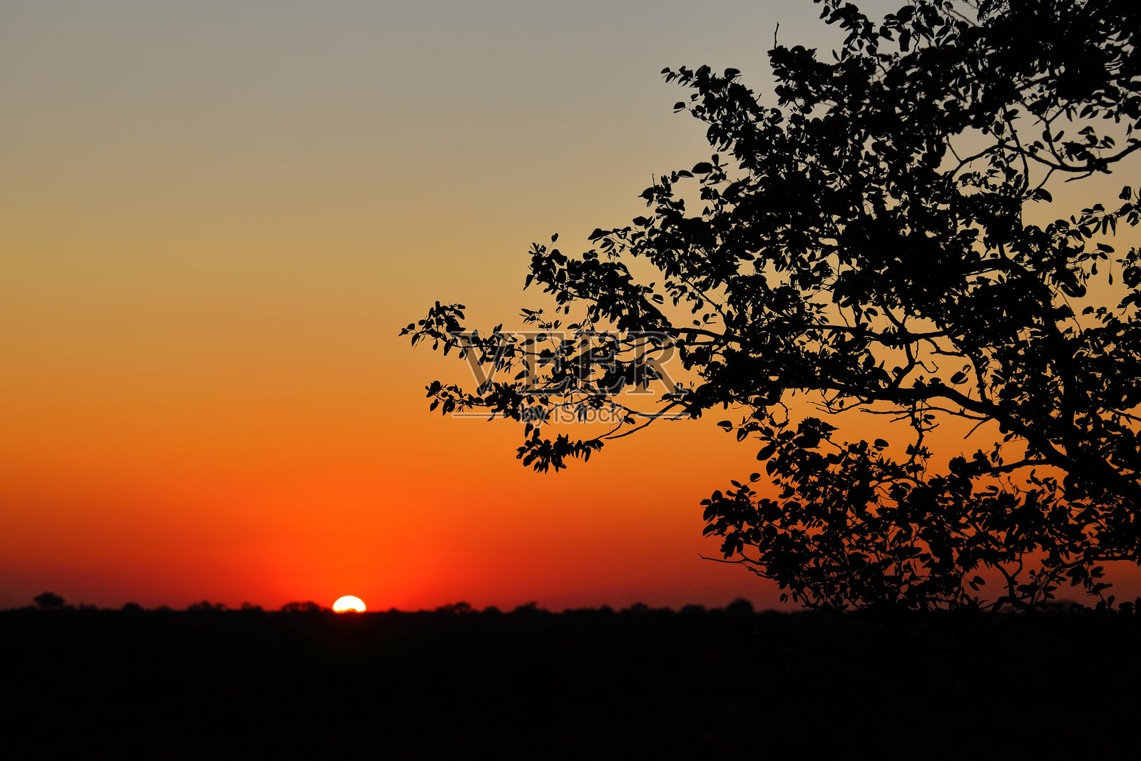 日落 - 克鲁格国家公园 - 南非照片摄影图片