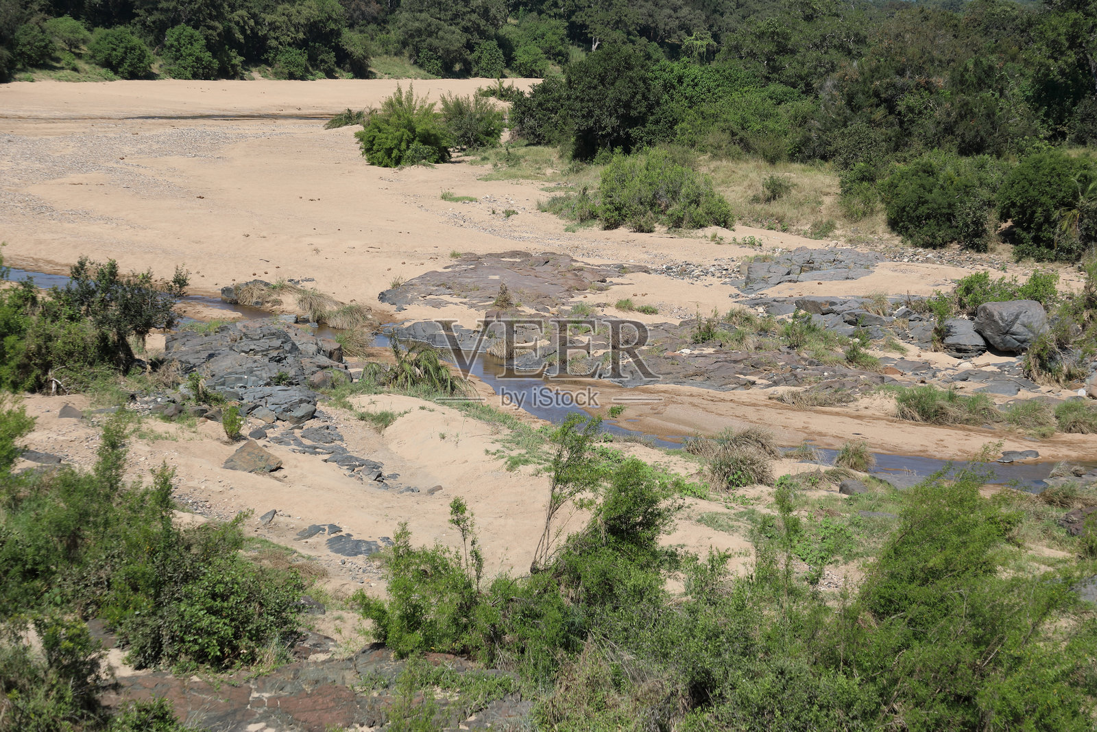 克鲁格公园 - 非洲灌木丛 - 蒂姆巴瓦提河照片摄影图片