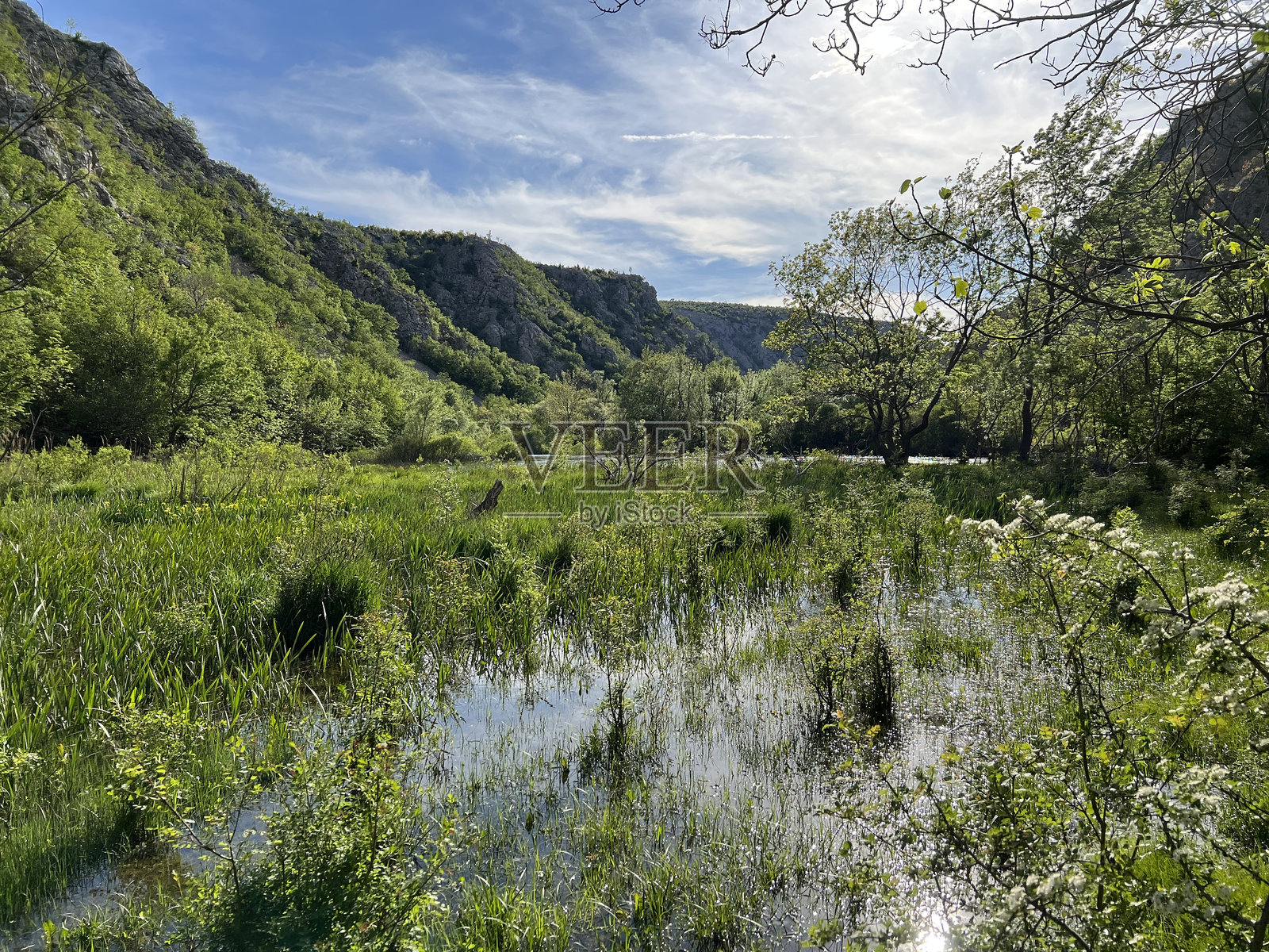 克鲁帕河峡谷，兹尔曼亚的右支流（维莱比特自然公园，克罗地亚）照片摄影图片