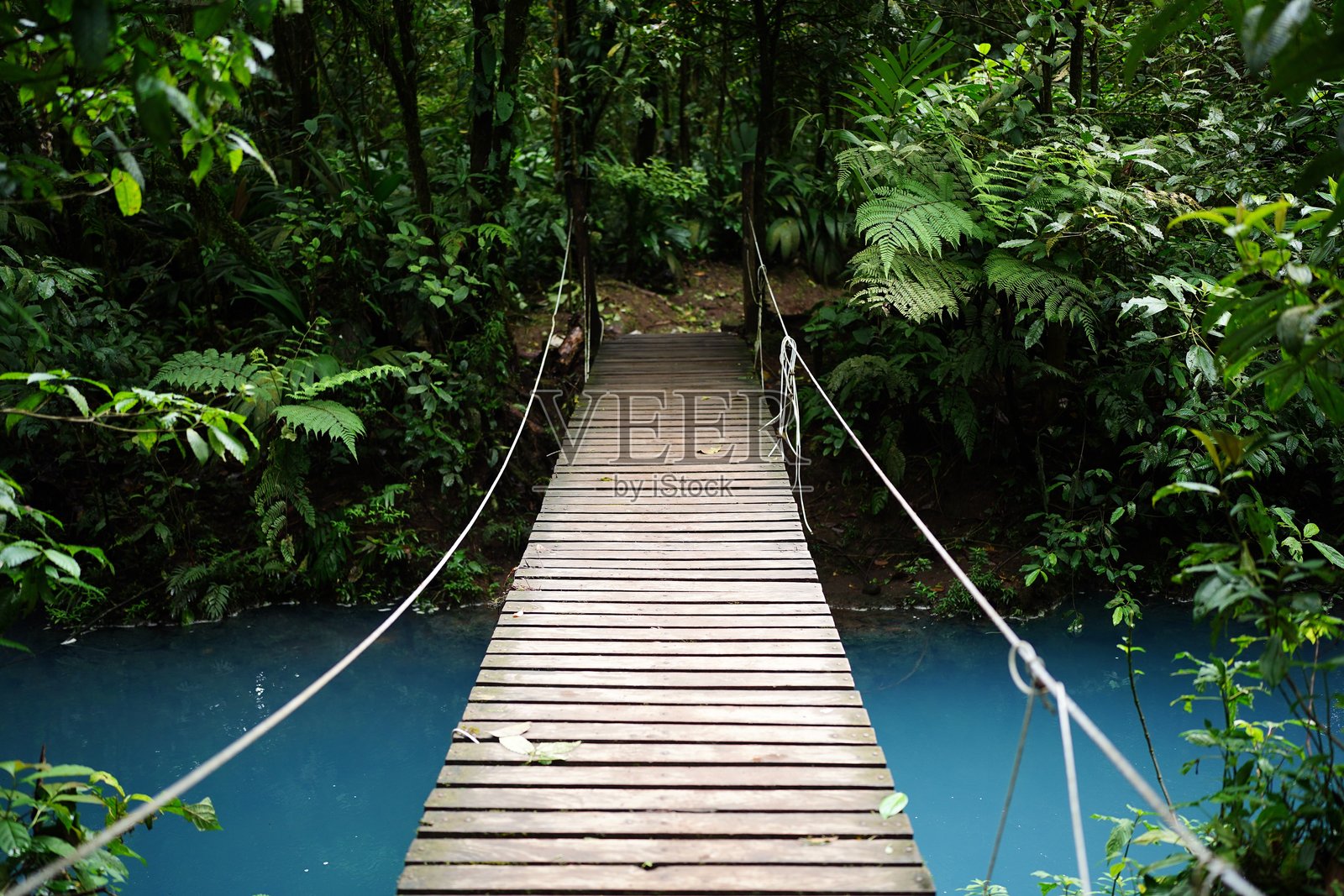 悬索桥横跨哥斯达黎加明亮的蓝色河流照片摄影图片
