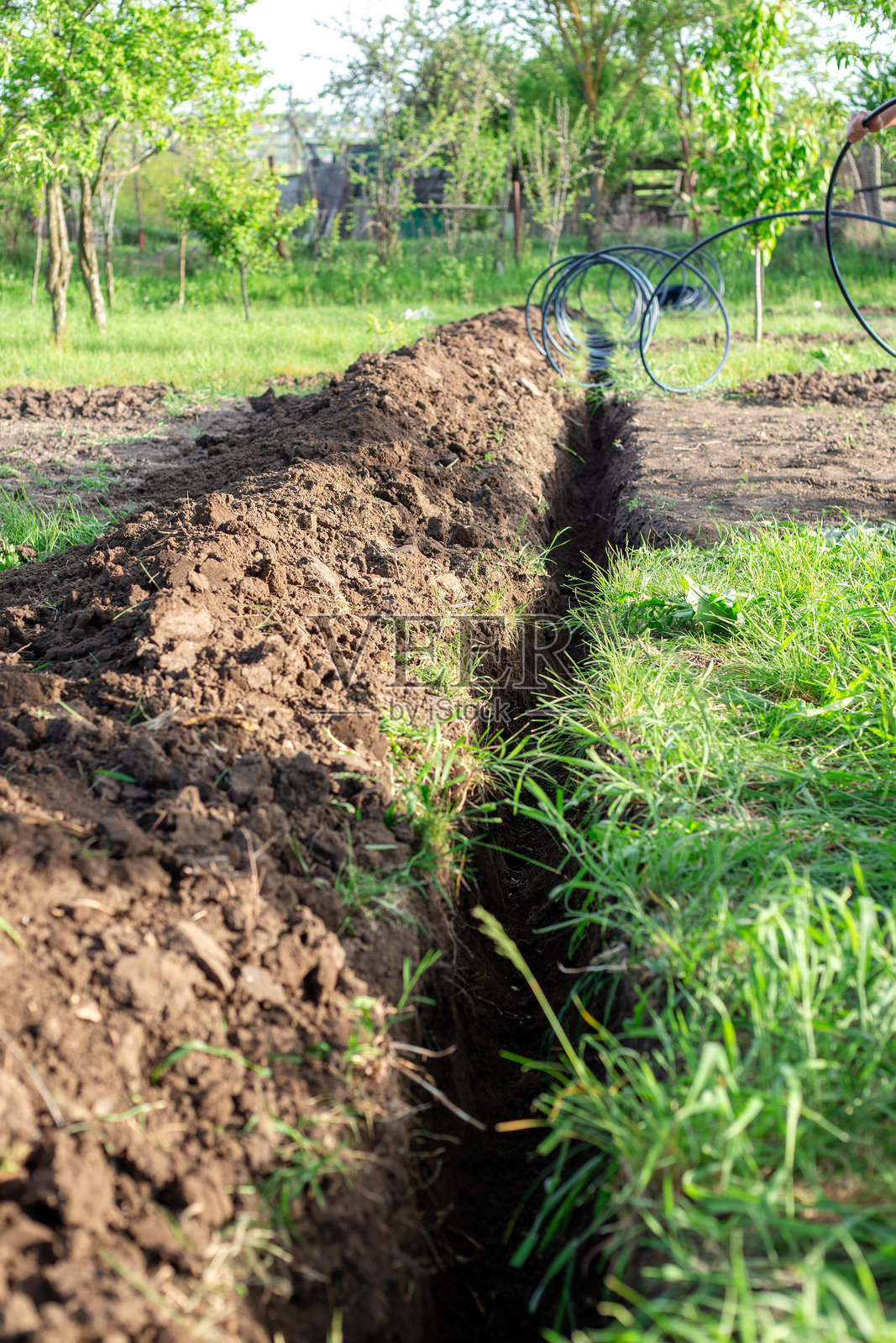 在花园中进行滴灌。为铺设灌溉管道而挖的沟渠。照片摄影图片