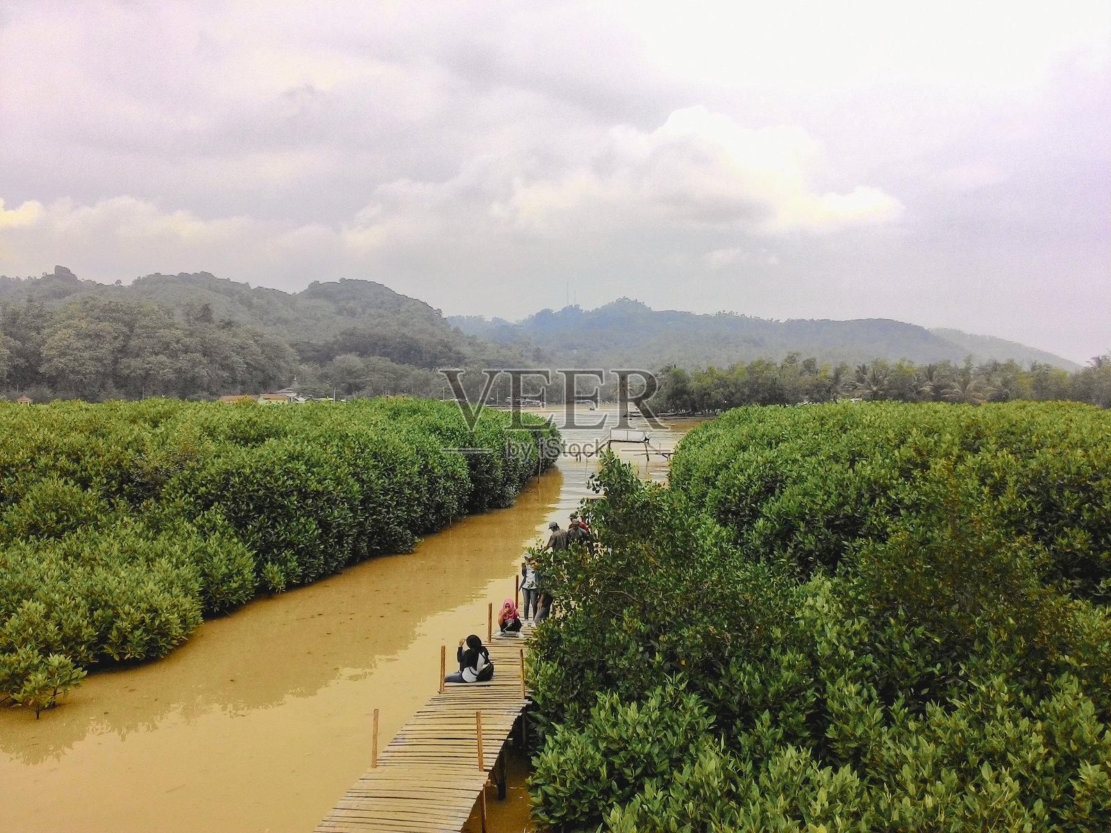 水上木栈道穿越红树林的美丽景色照片摄影图片
