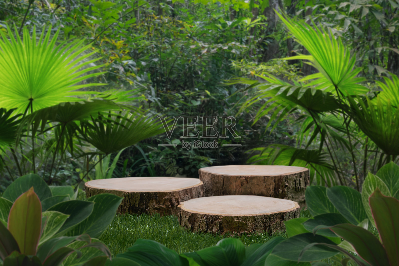 热带森林自然背景下的草地上的木桩讲台桌面。自然产品展示的木制支架，健康生活或生态概念。照片摄影图片
